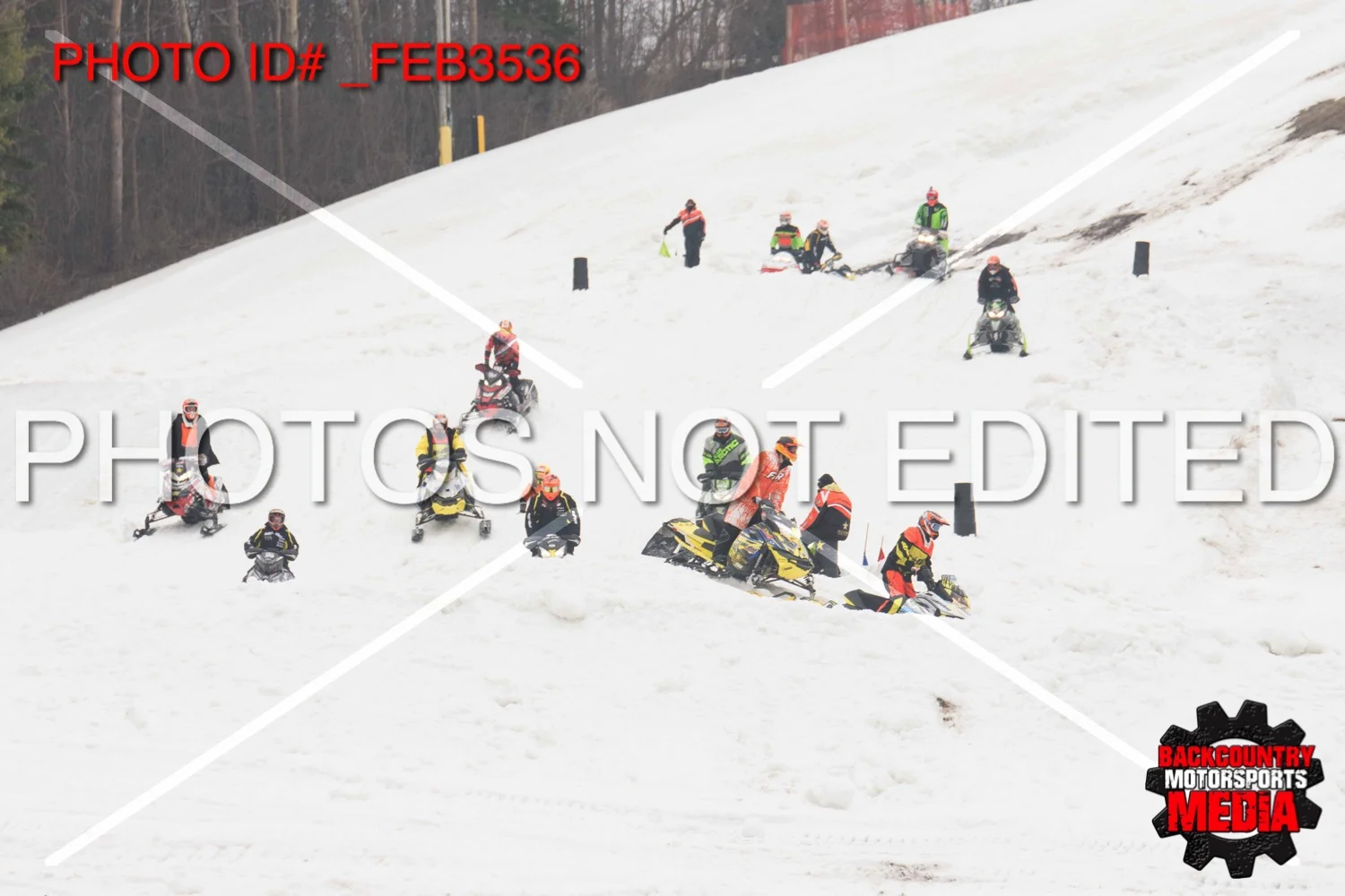 _FEB3536.jpg