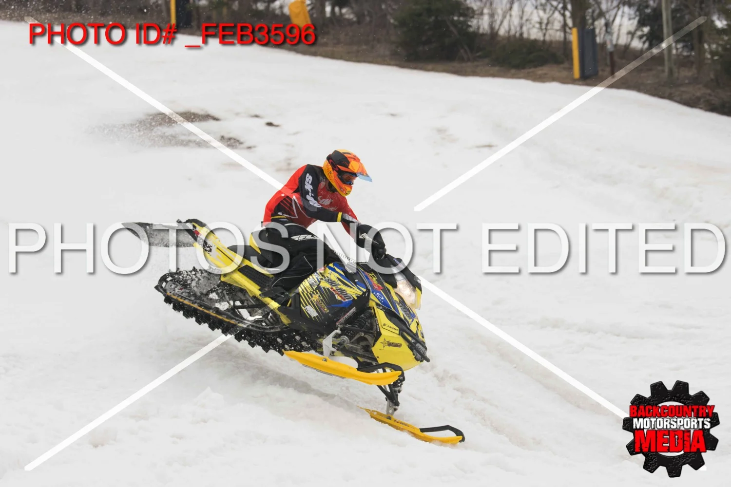 _FEB3596.jpg