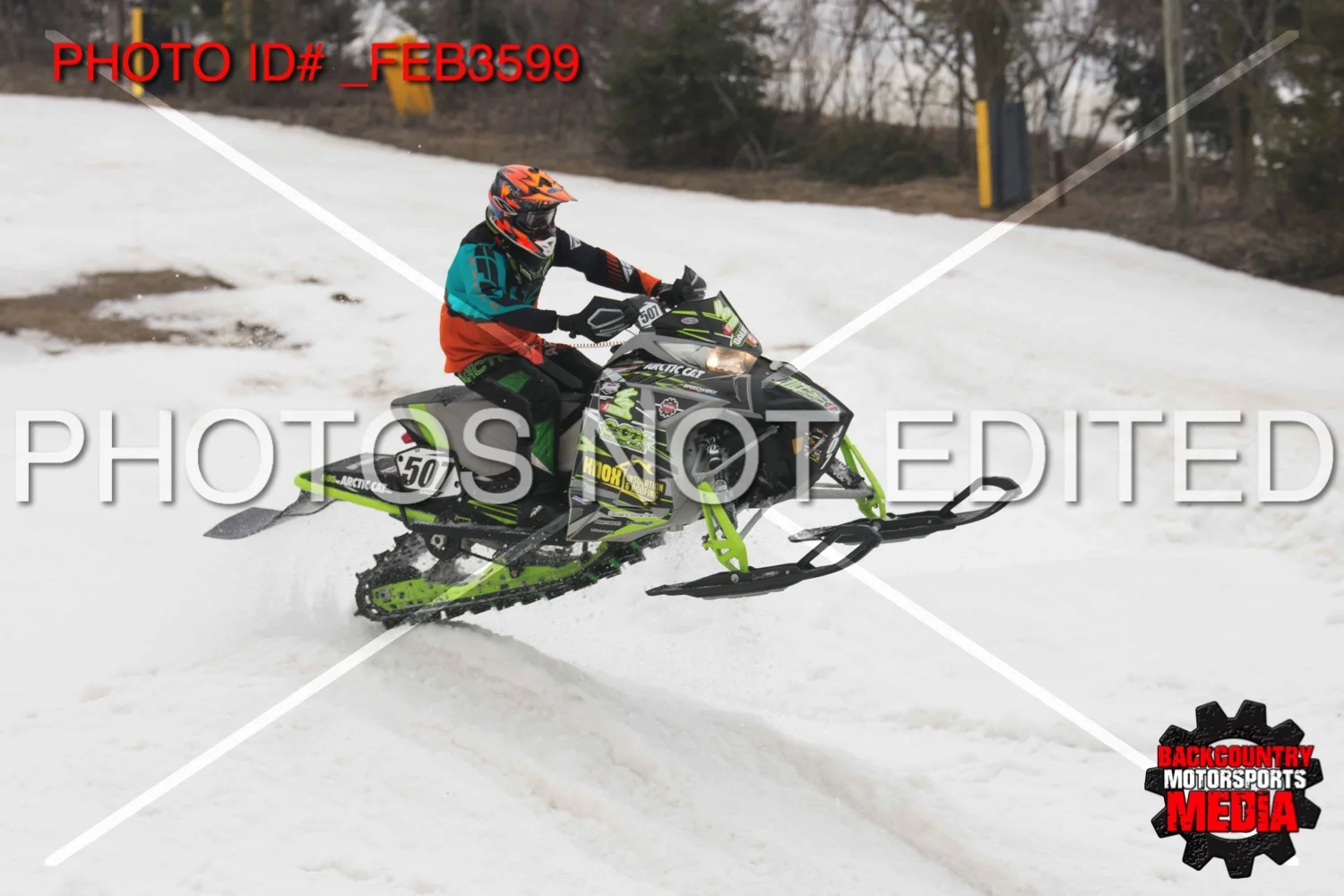 _FEB3599.jpg