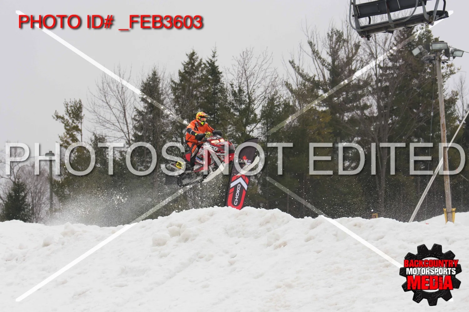 _FEB3603.jpg