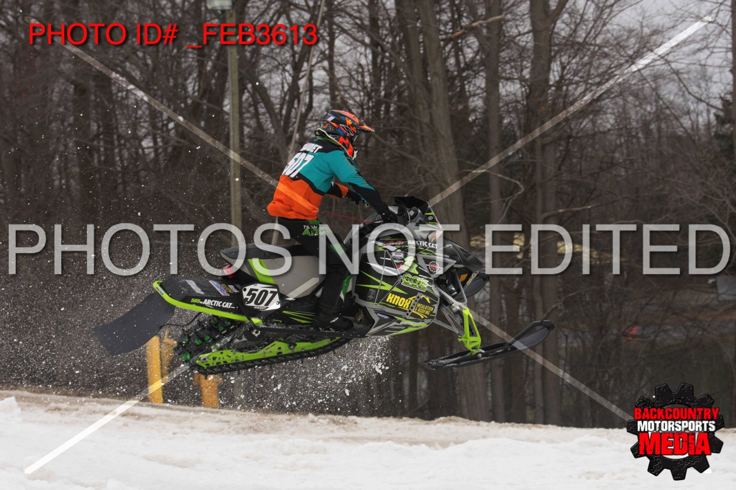 _FEB3613.jpg