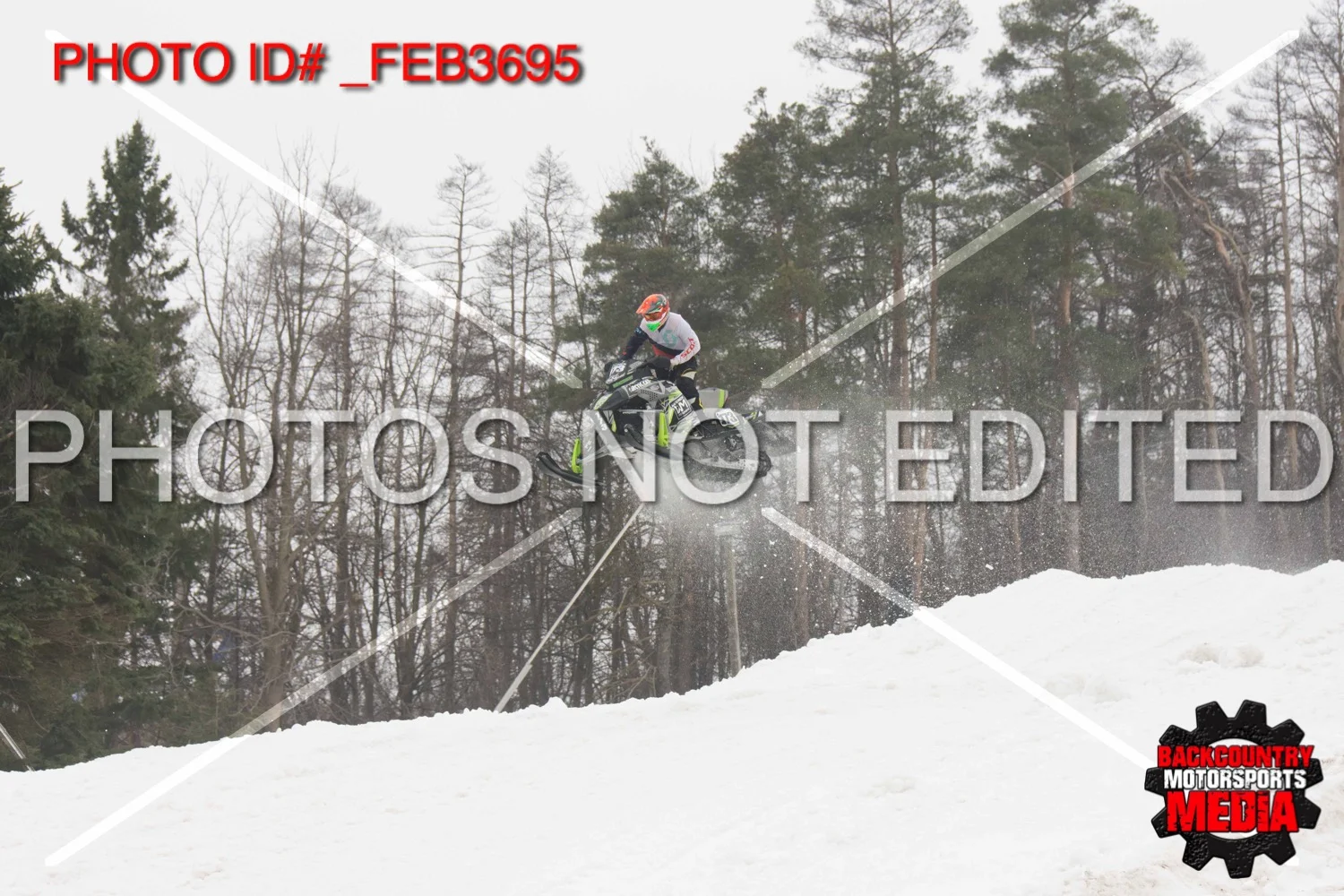 _FEB3695.jpg