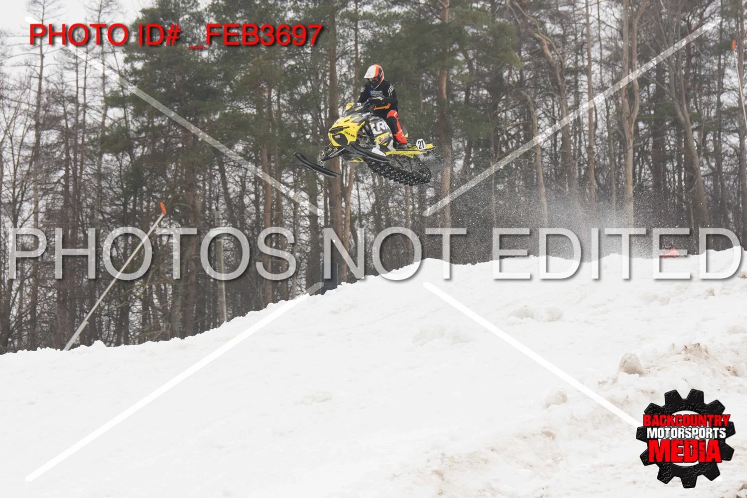 _FEB3697.jpg