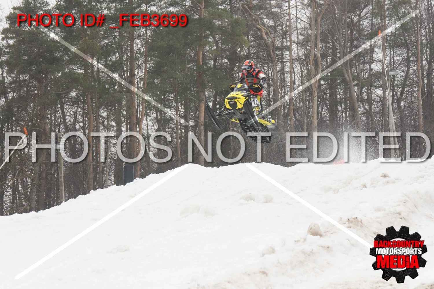 _FEB3699.jpg