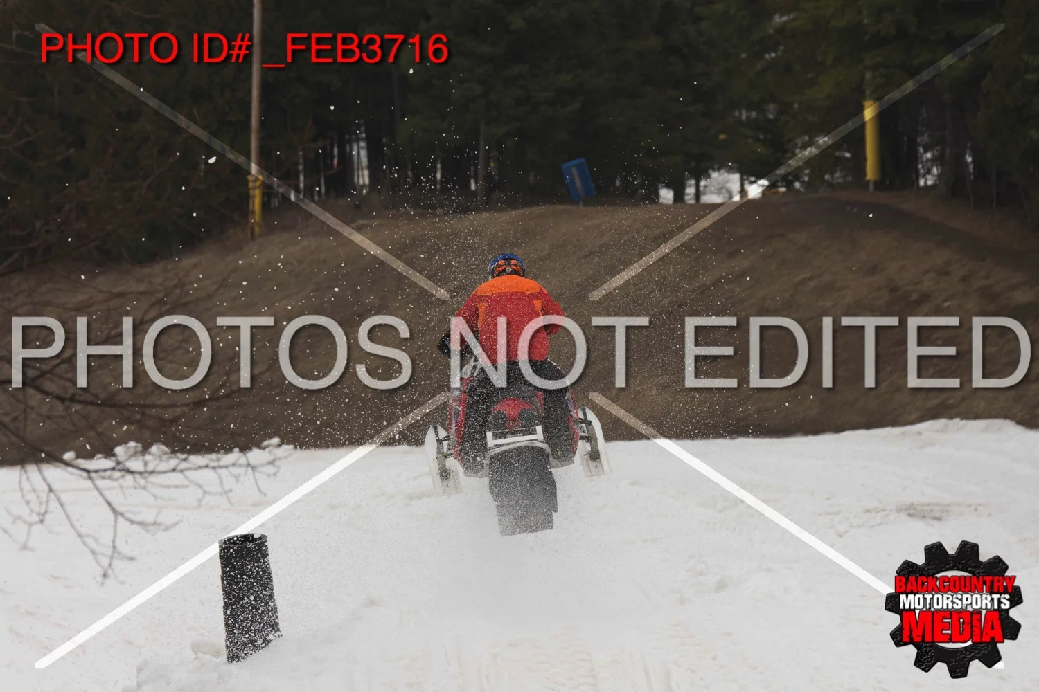 _FEB3716.jpg