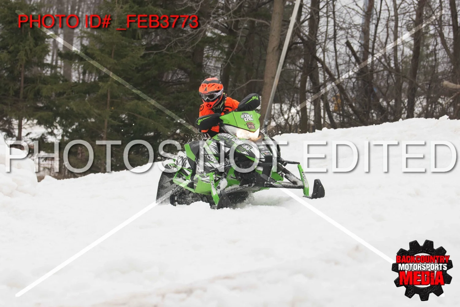 _FEB3773.jpg