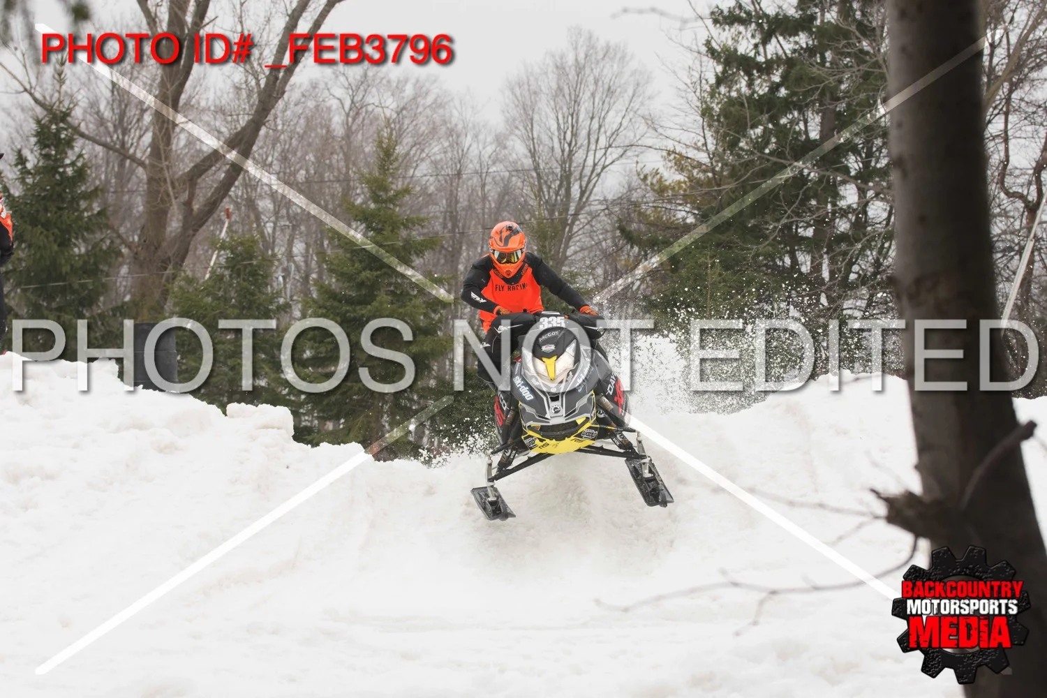 _FEB3796.jpg