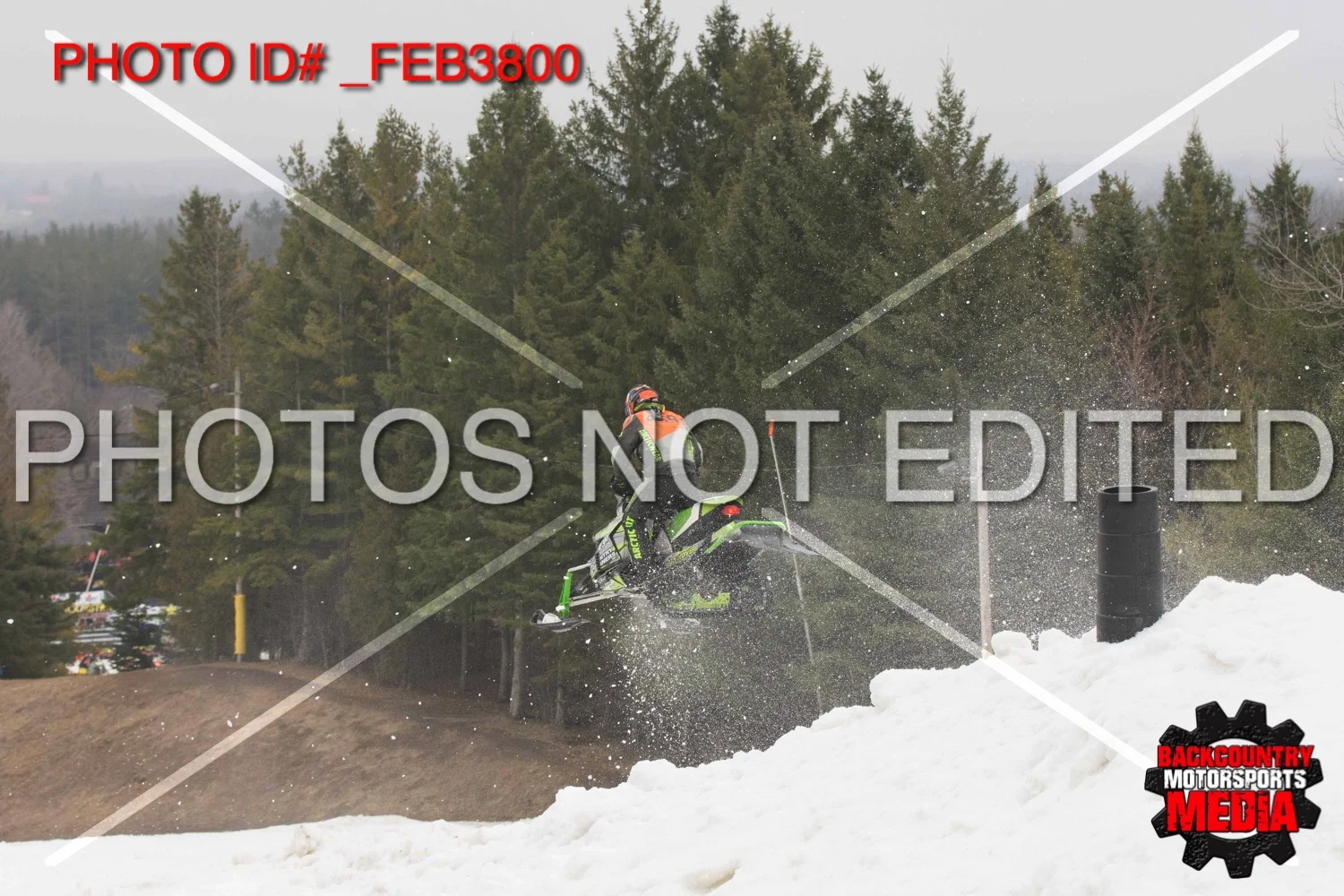 _FEB3800.jpg