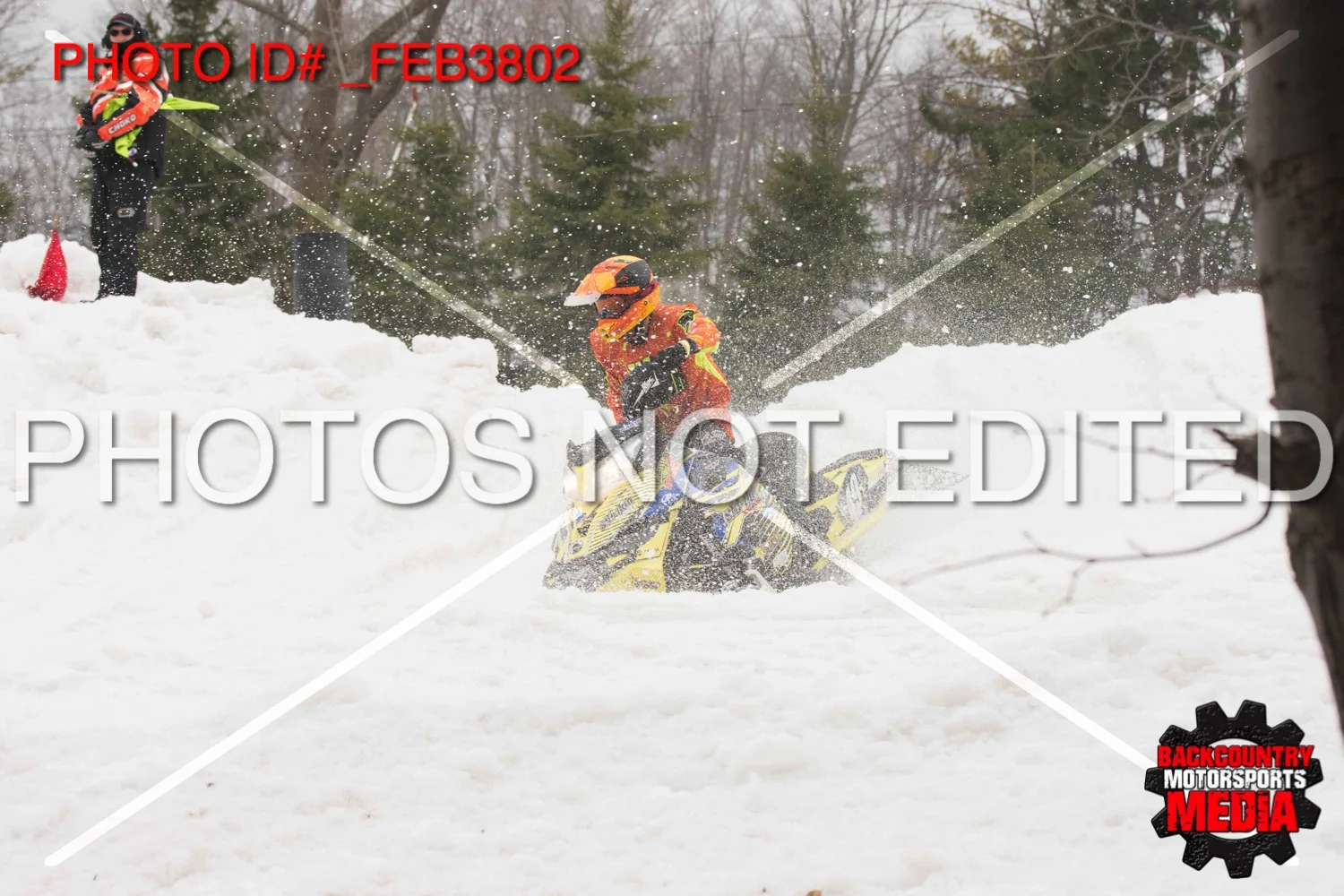 _FEB3802.jpg