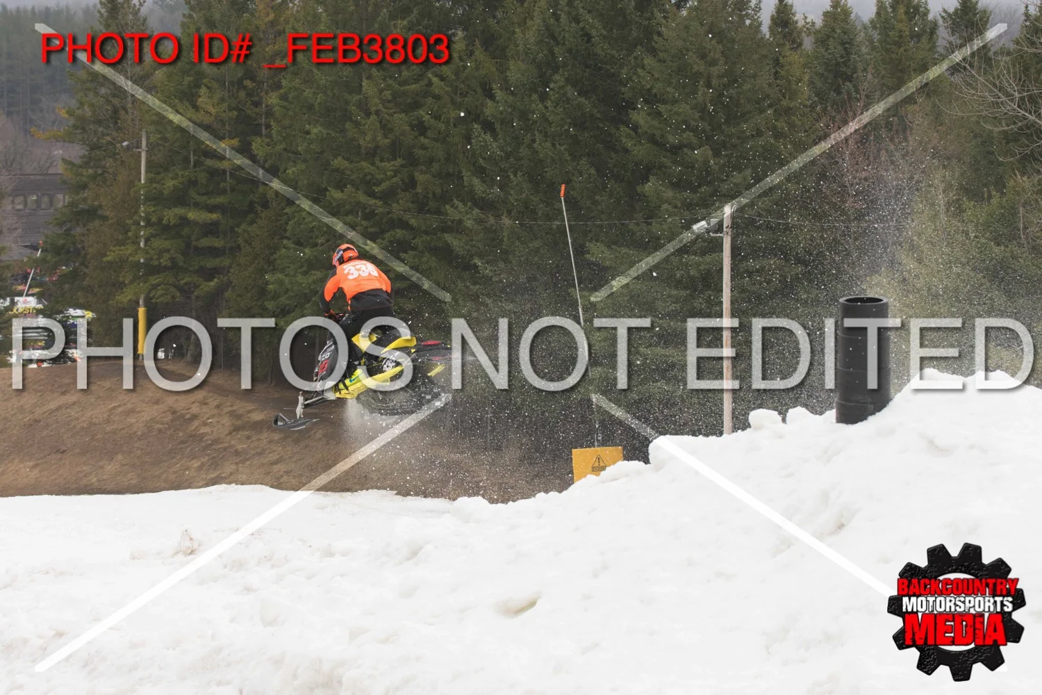 _FEB3803.jpg