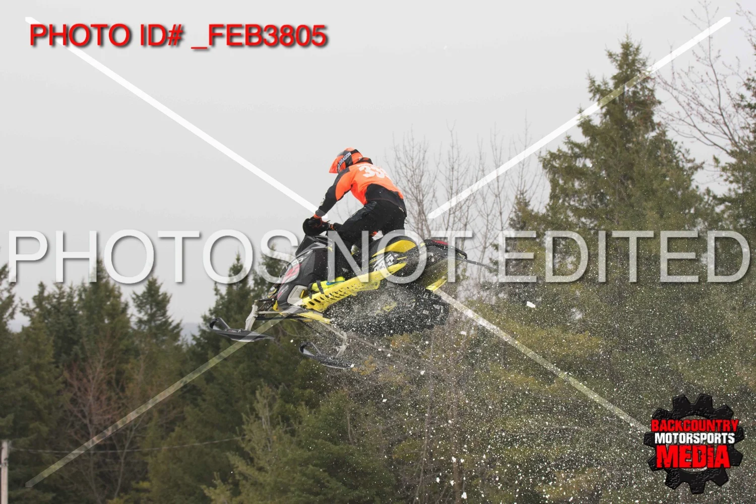 _FEB3805.jpg