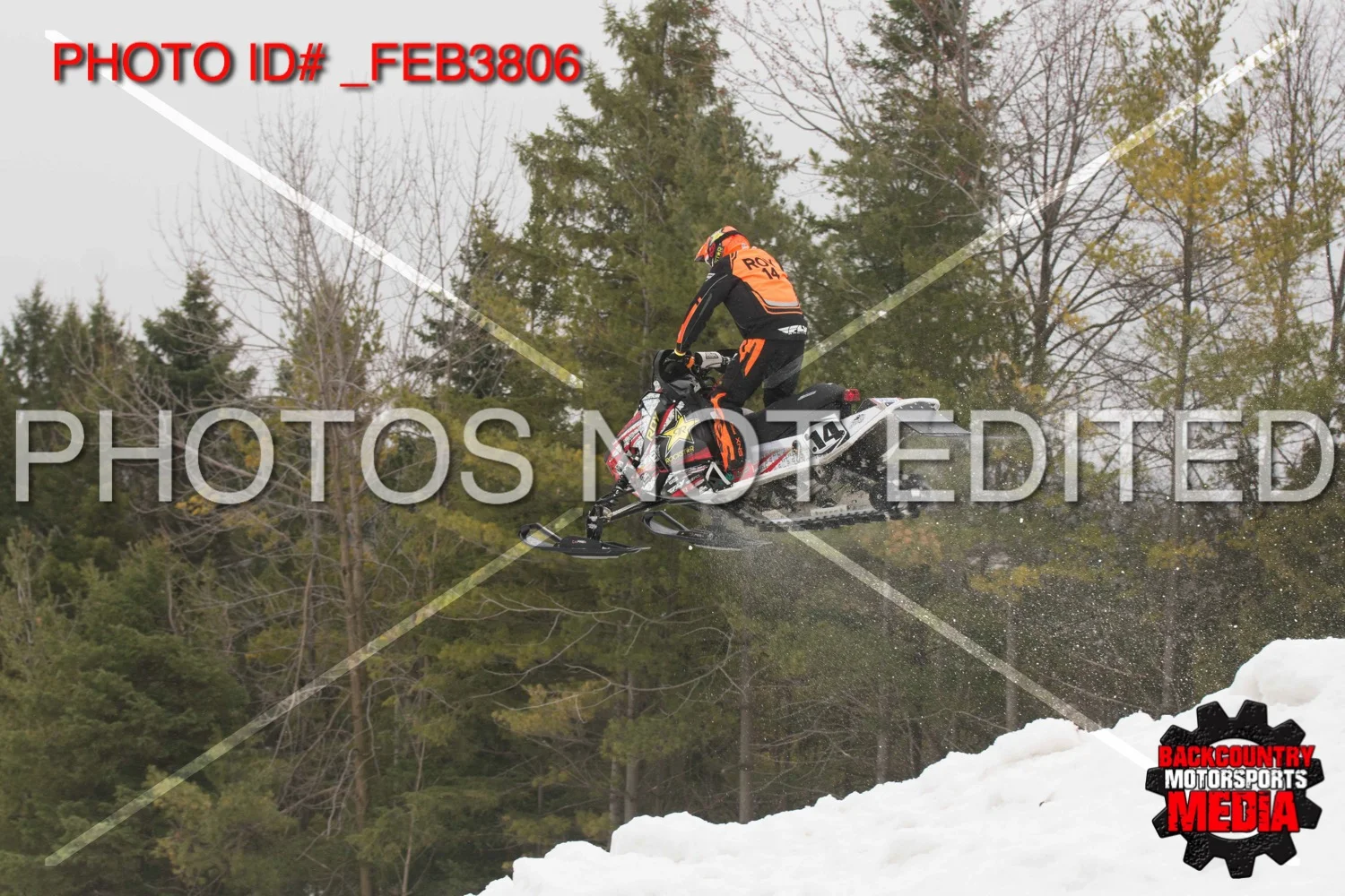 _FEB3806.jpg