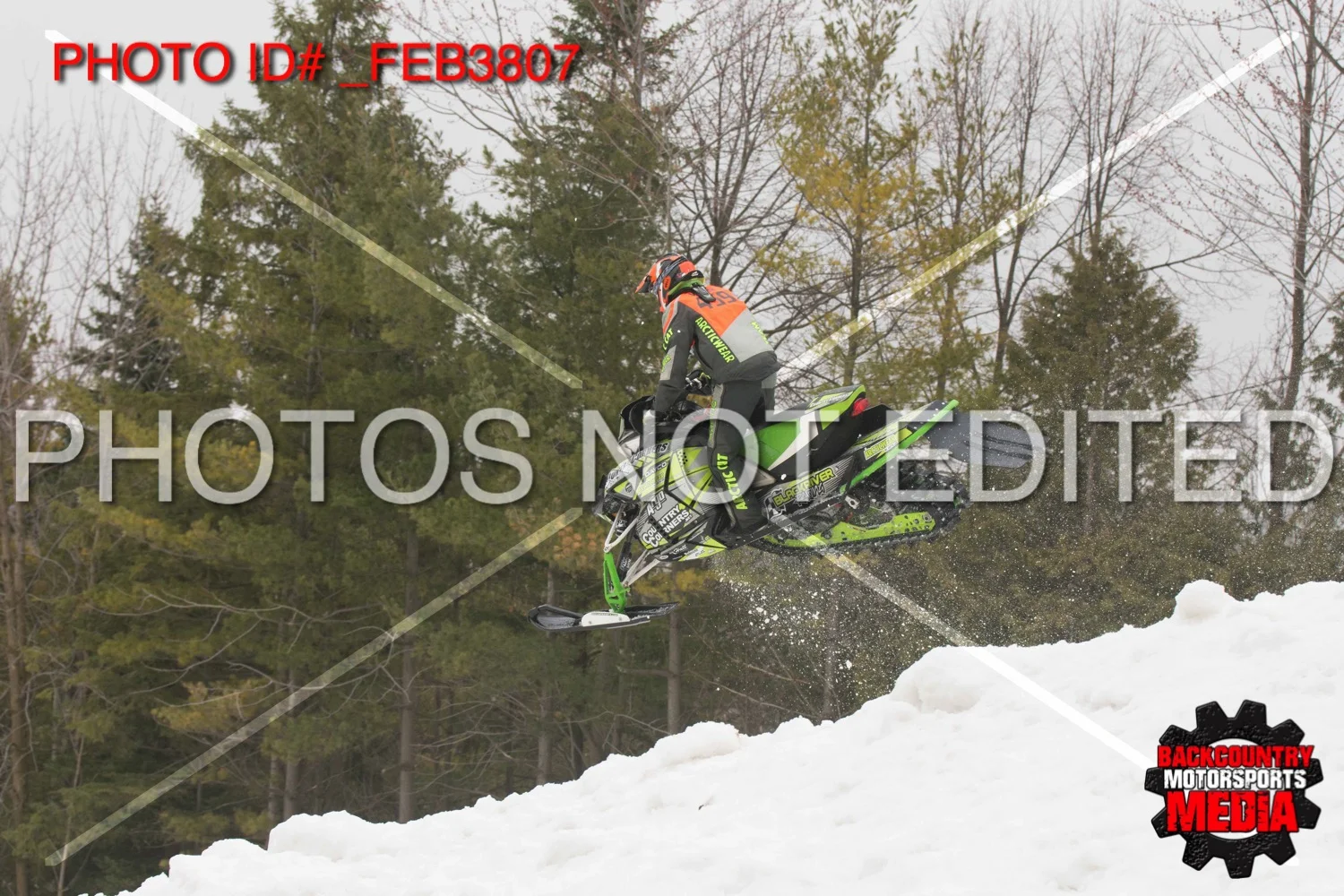 _FEB3807.jpg