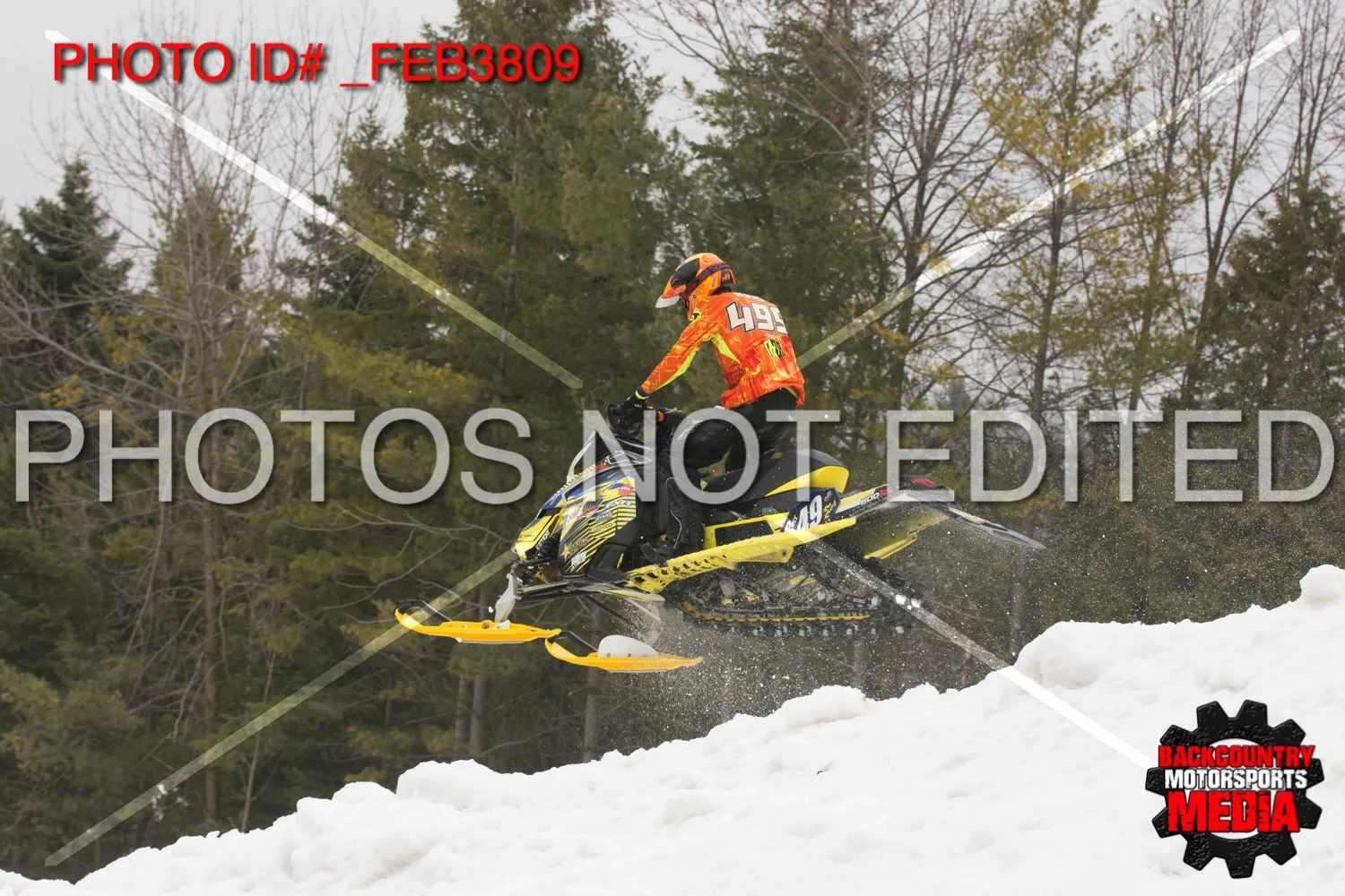 _FEB3809.jpg