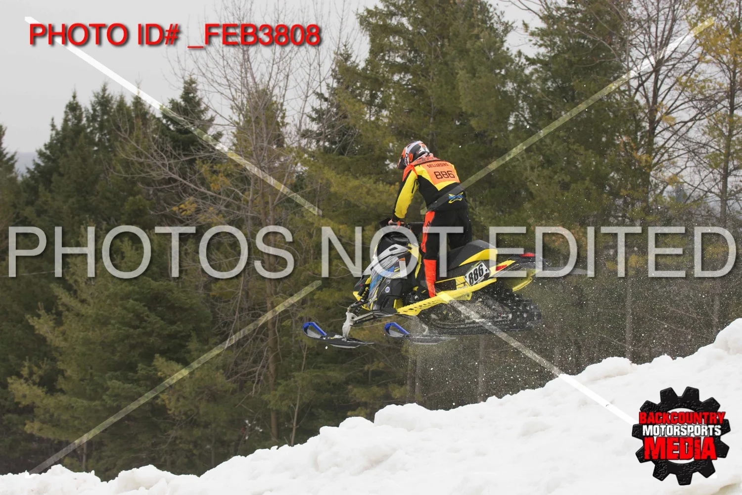 _FEB3808.jpg