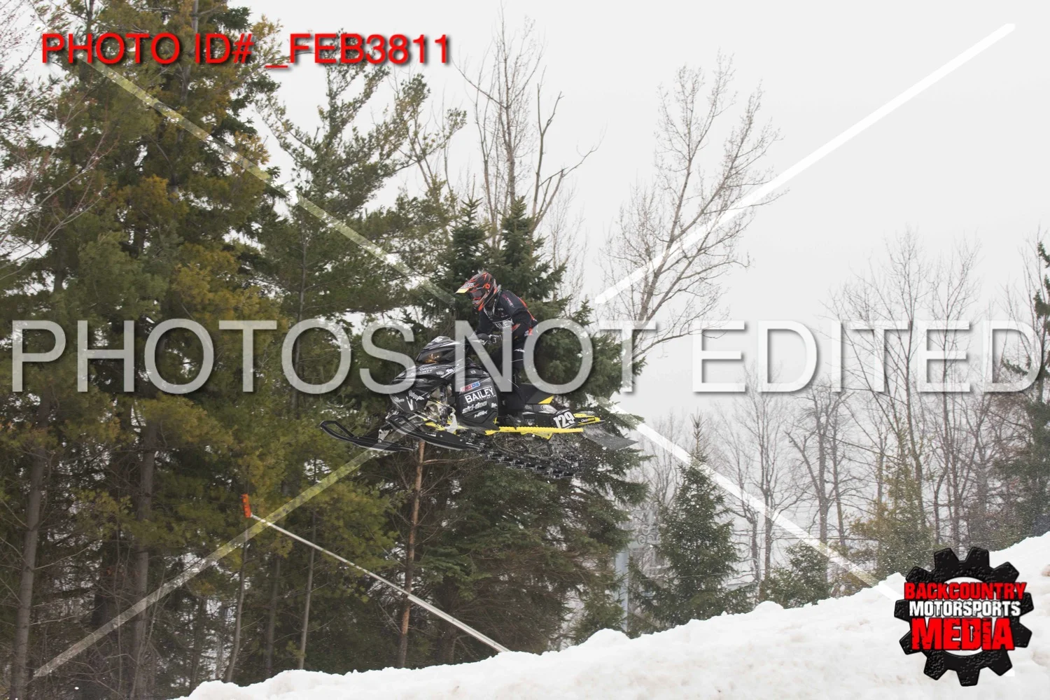 _FEB3811.jpg