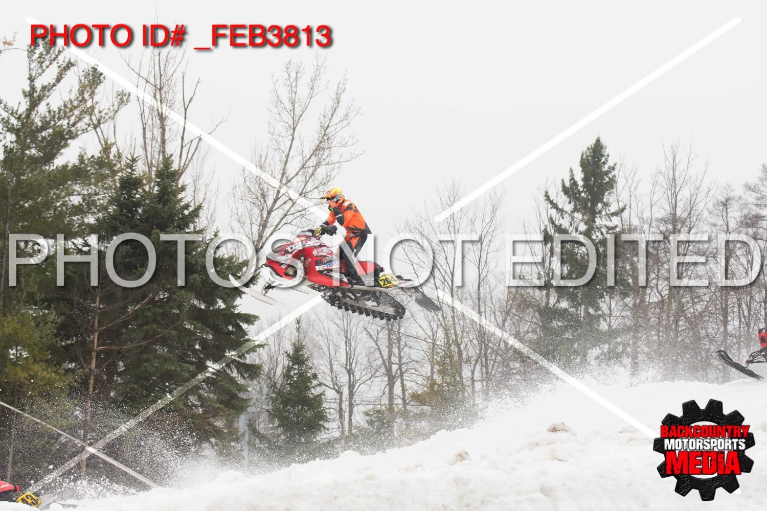 _FEB3813.jpg