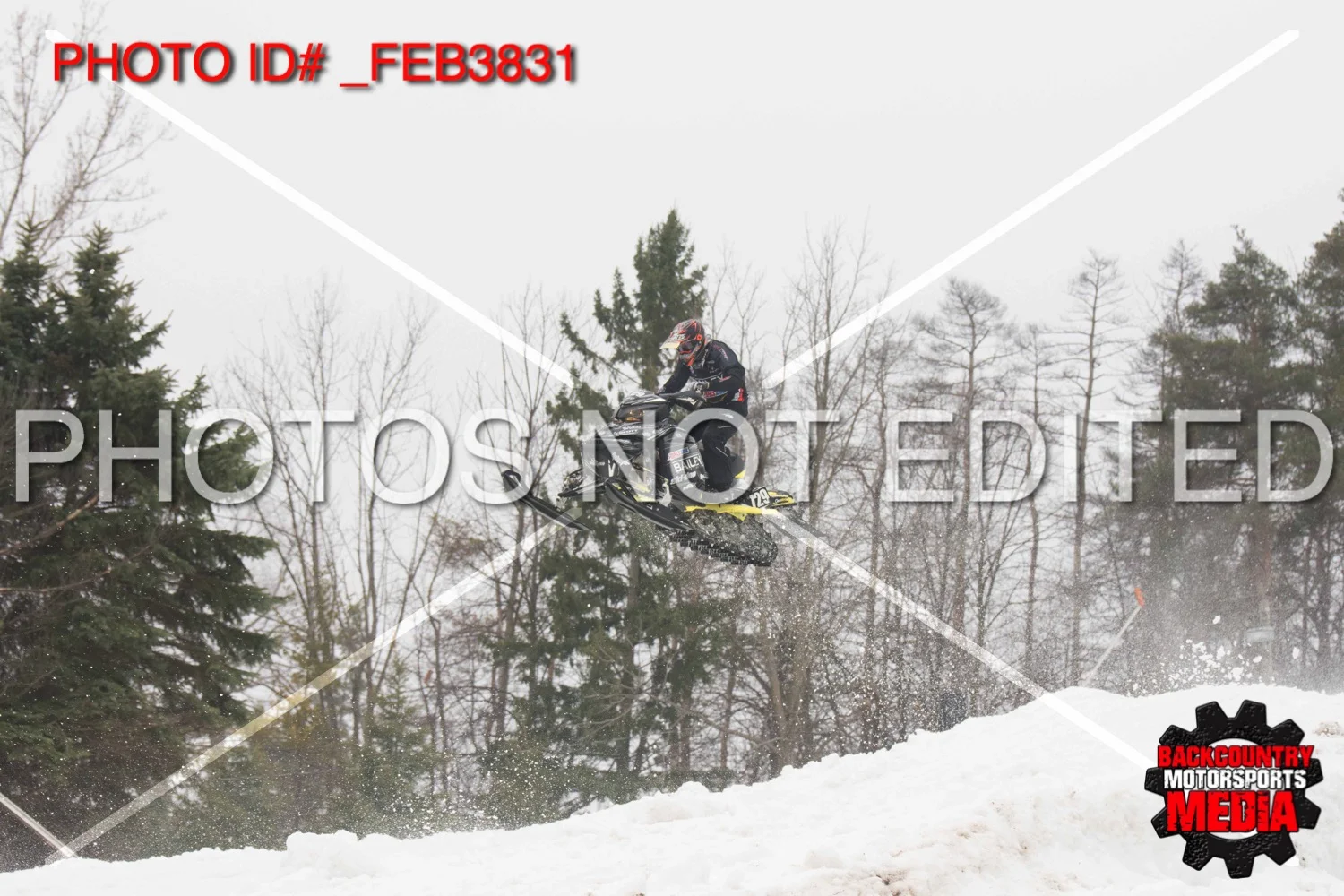 _FEB3831.jpg