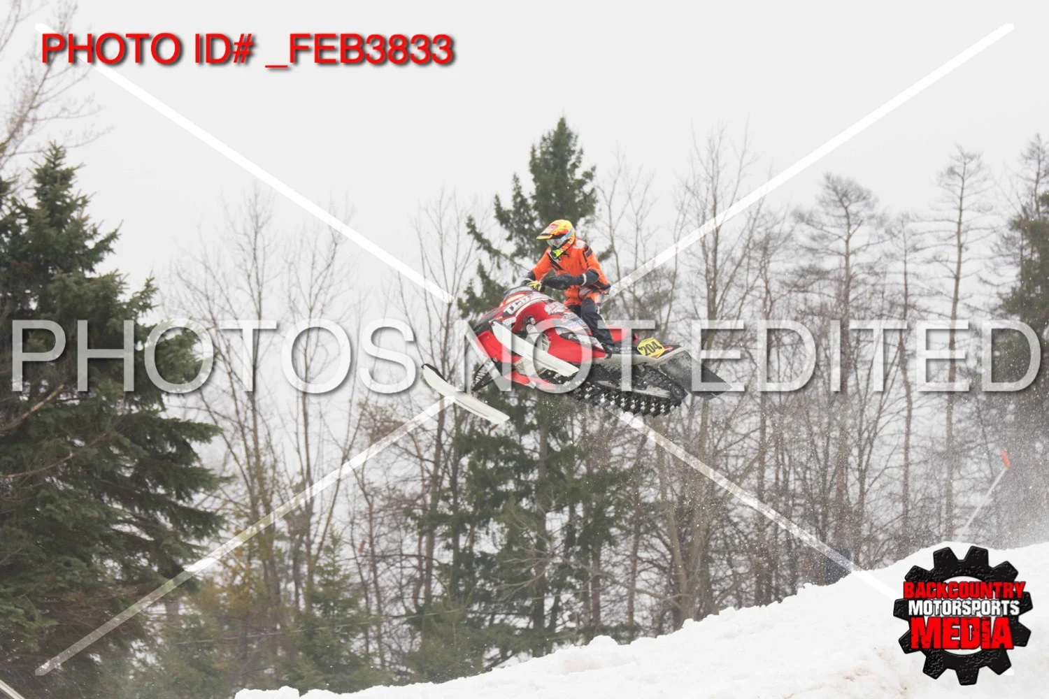 _FEB3833.jpg