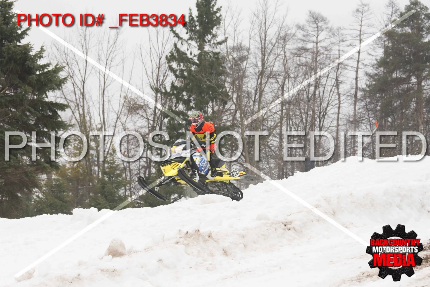 _FEB3834.jpg