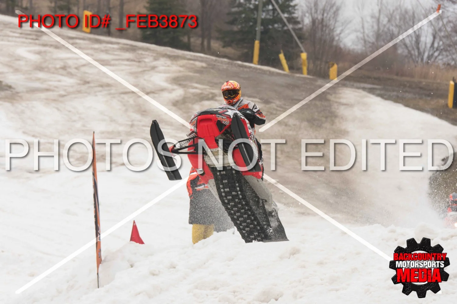 _FEB3873.jpg