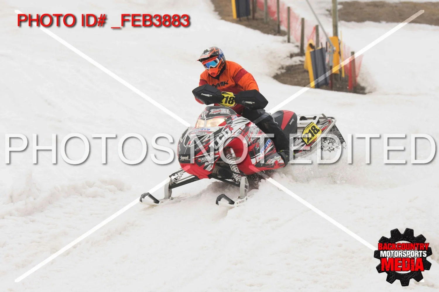 _FEB3883.jpg