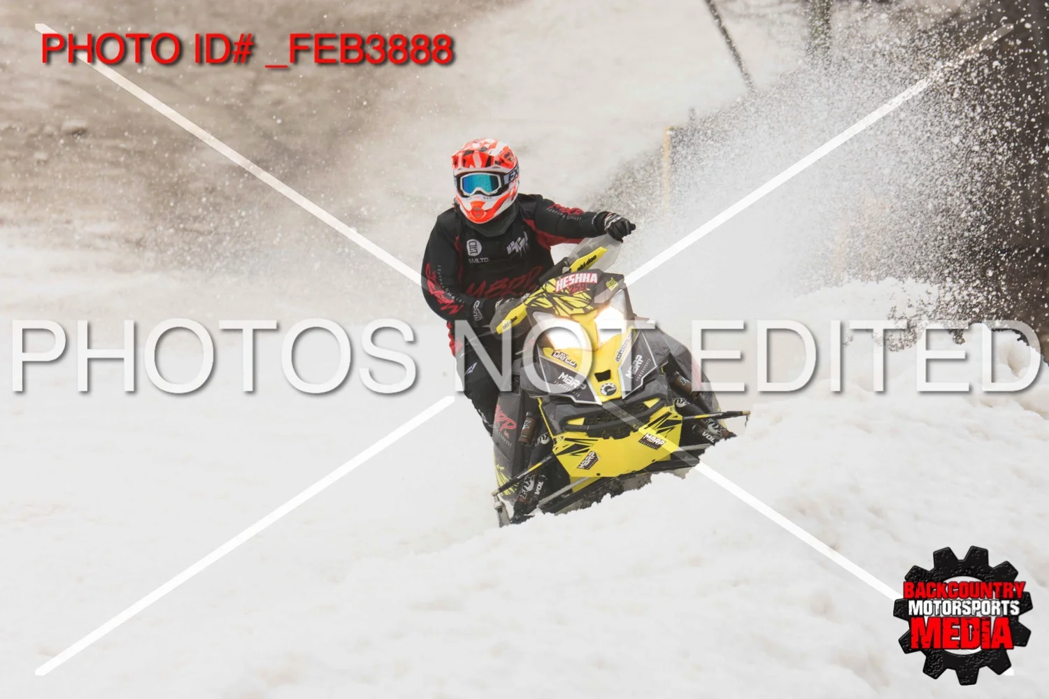 _FEB3888.jpg