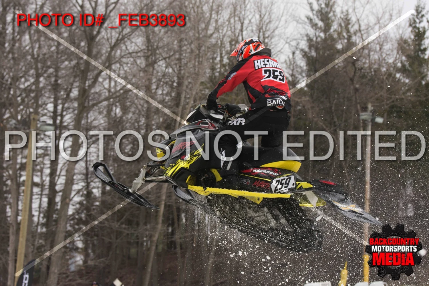 _FEB3893.jpg
