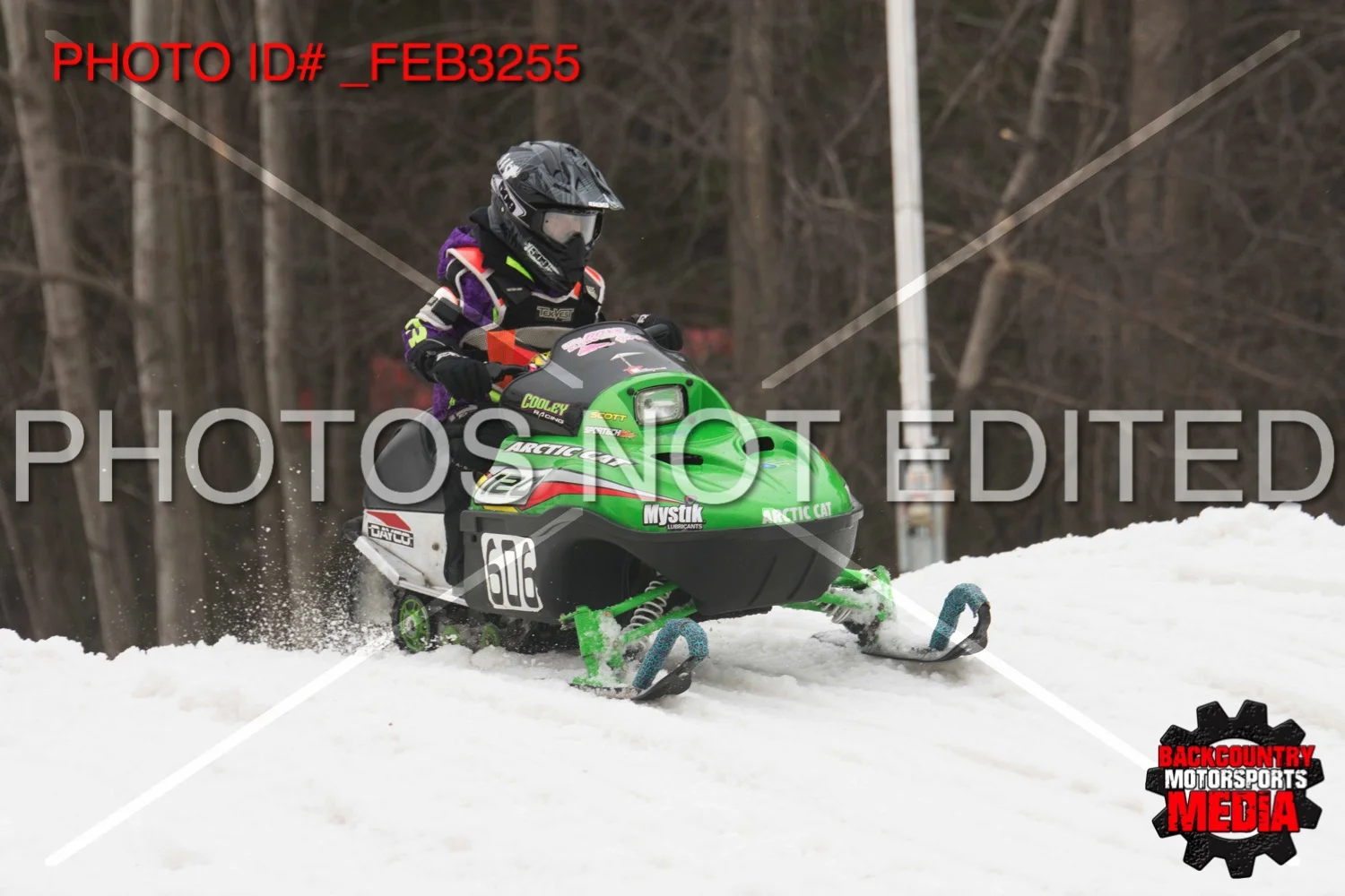 _FEB3255.jpg