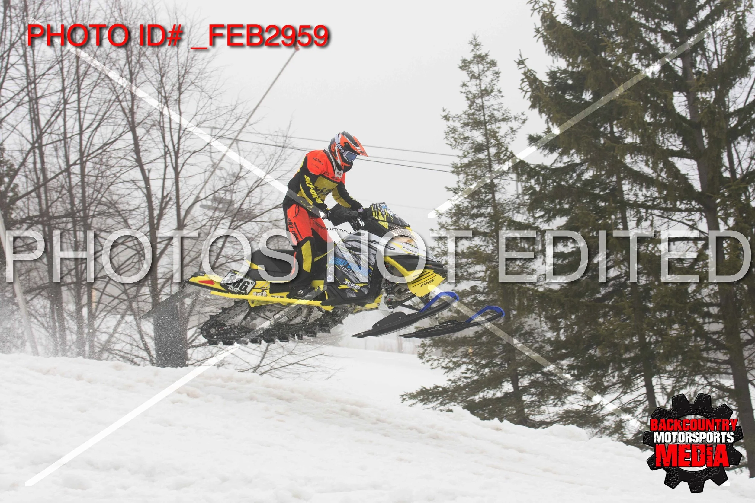 _FEB2959.jpg