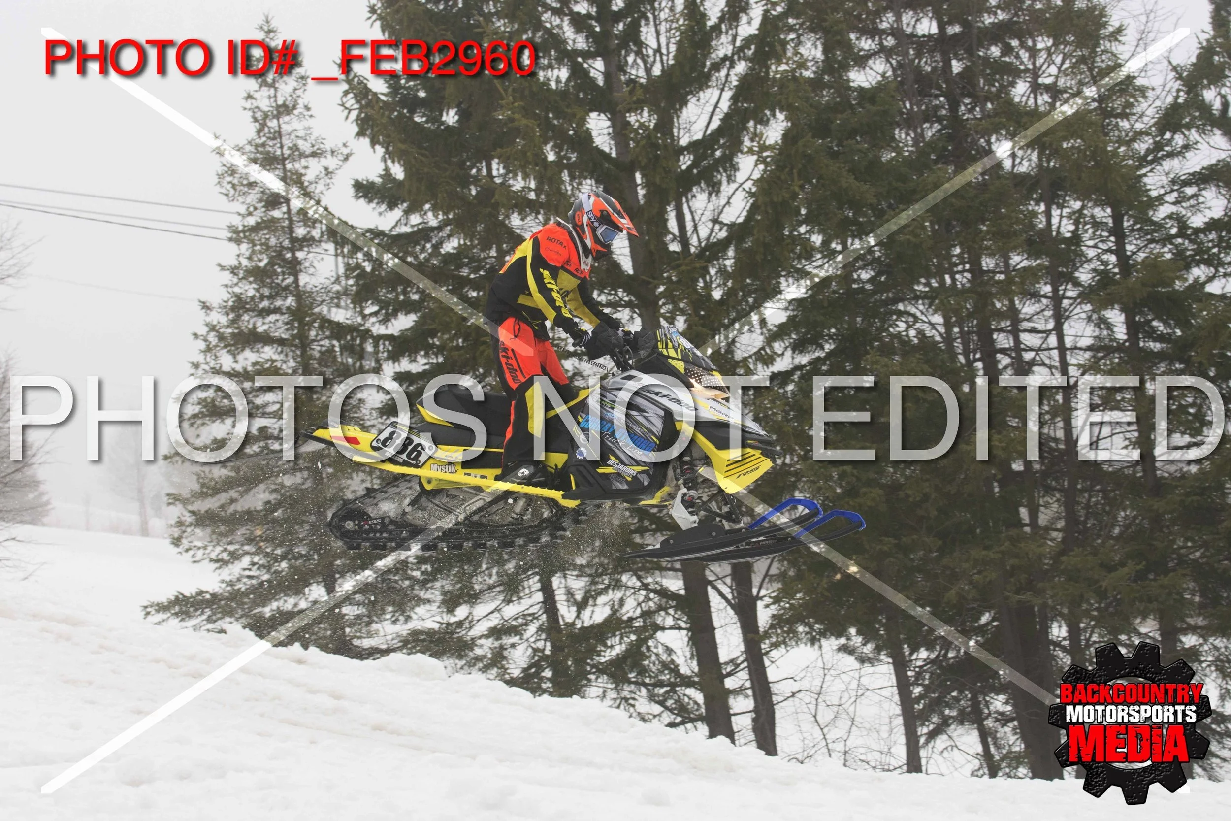 _FEB2960.jpg