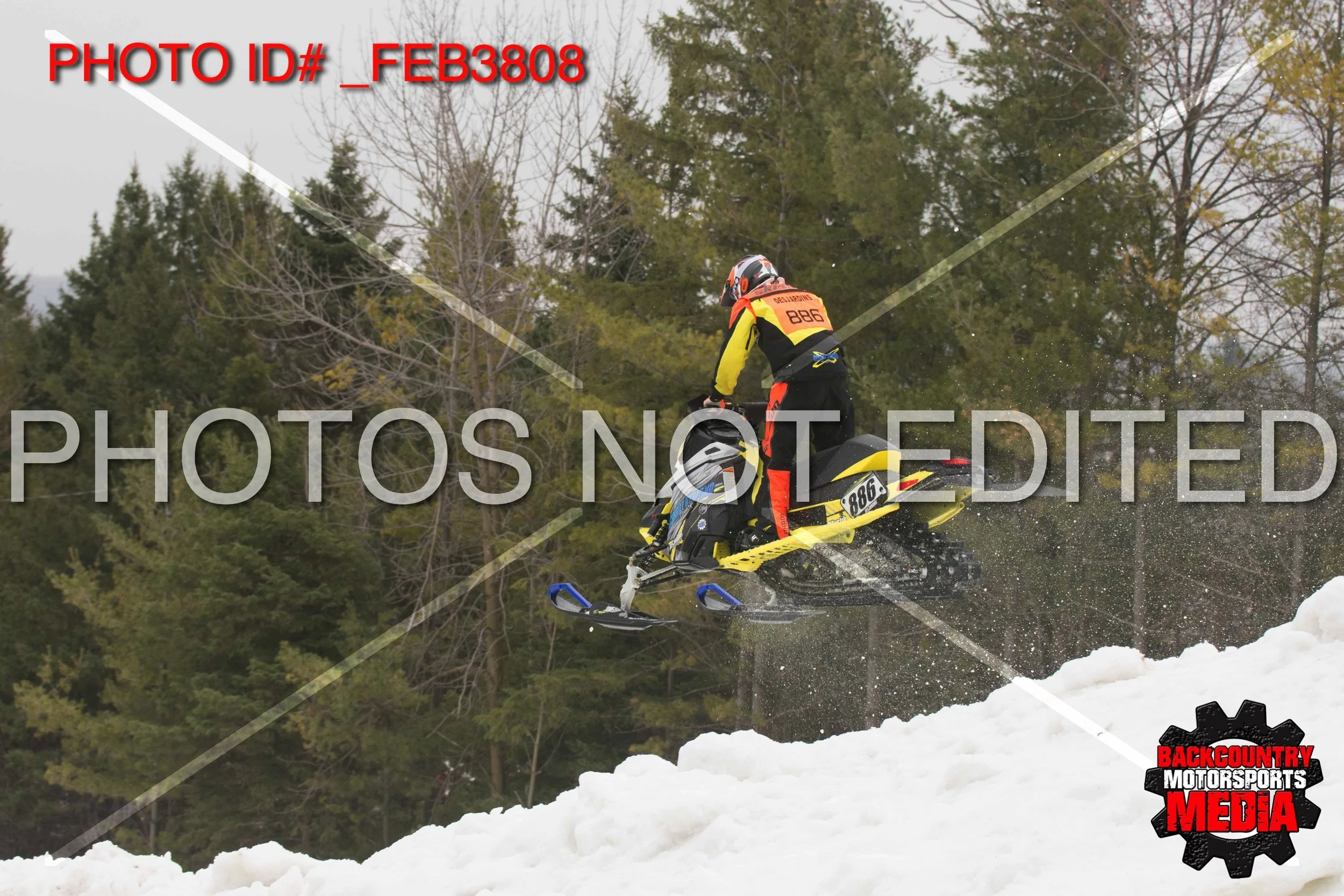 _FEB3808.jpg