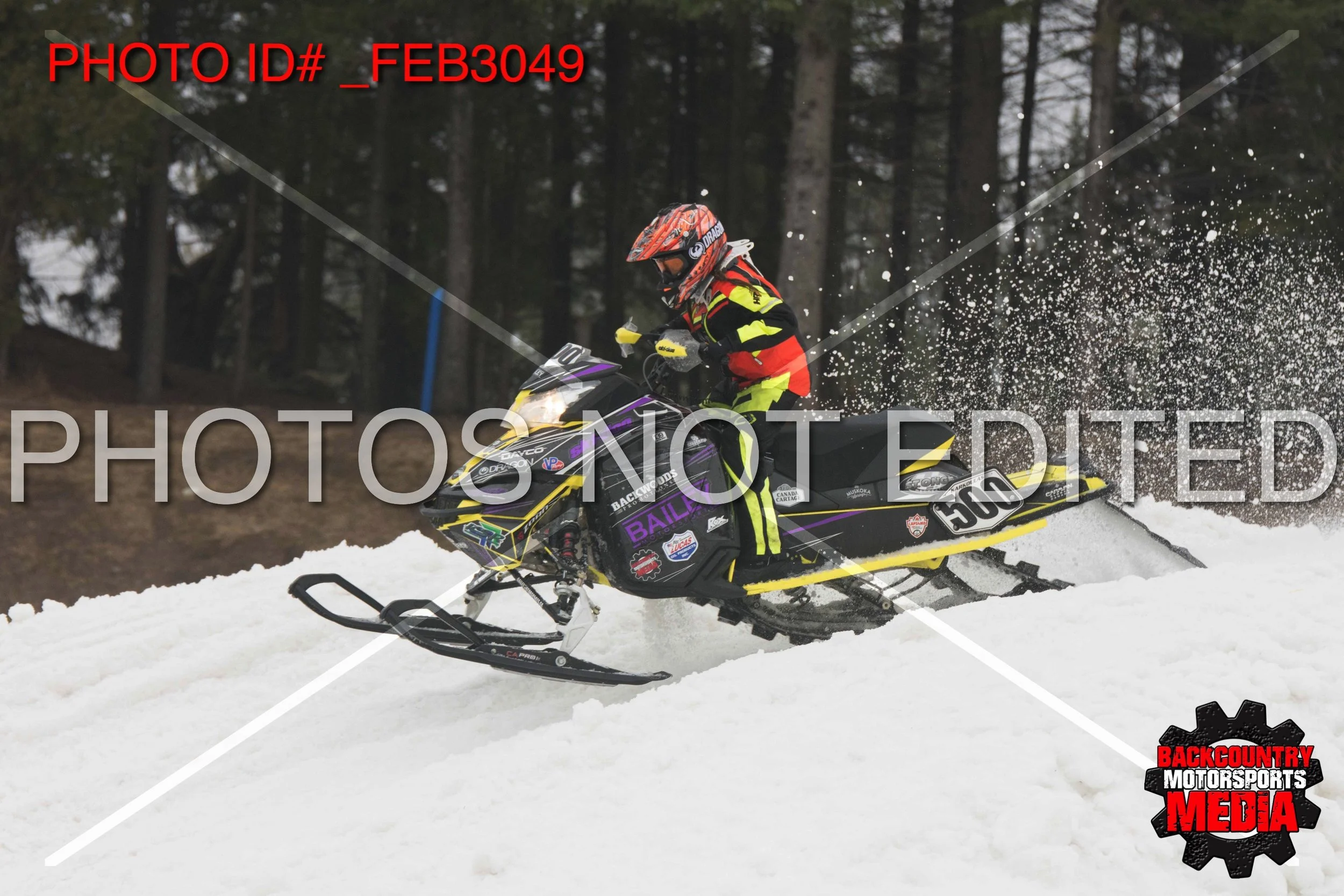 _FEB3049.jpg