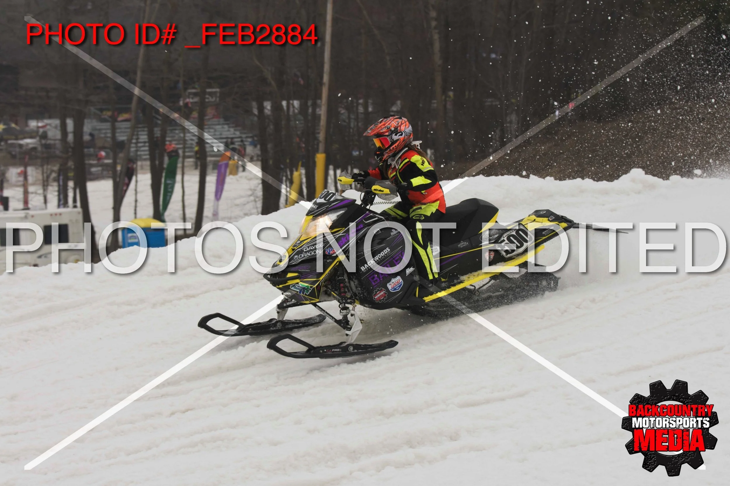 _FEB2884.jpg