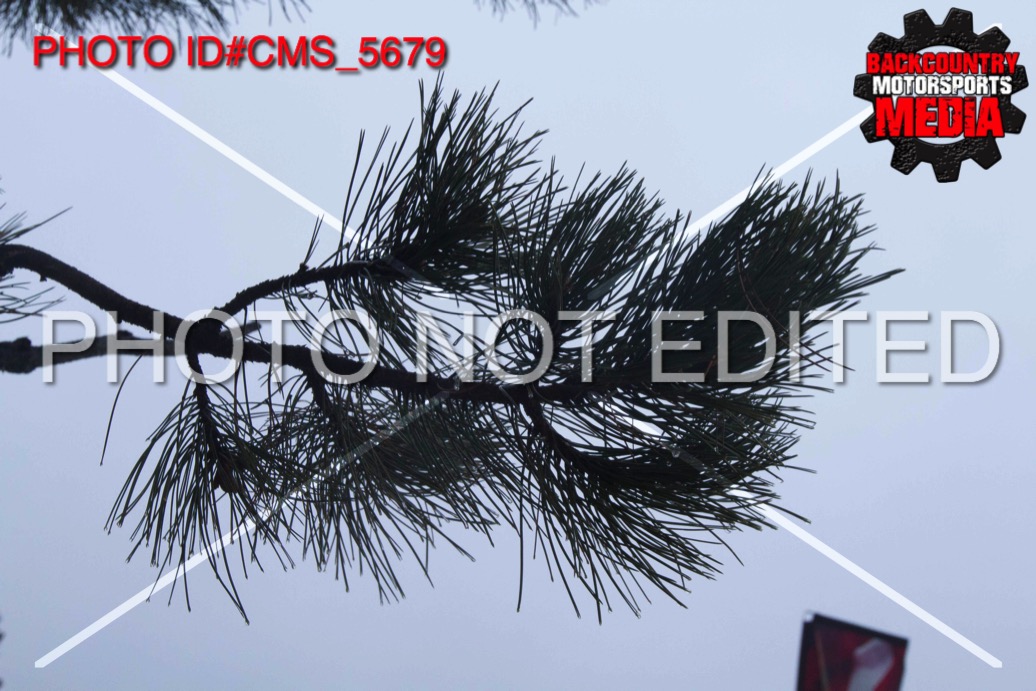 CMS_5679.jpg