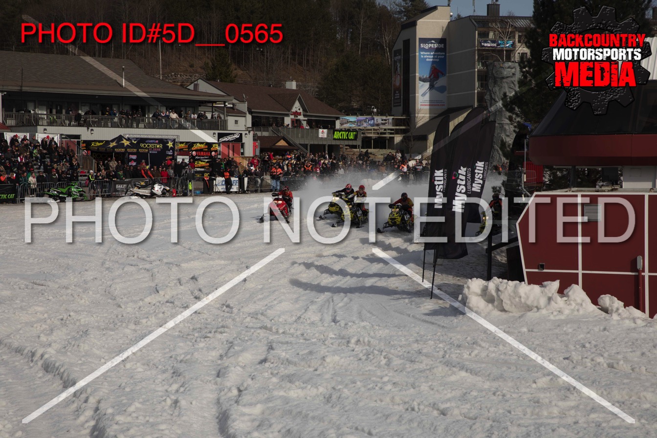 5D__0565.jpg