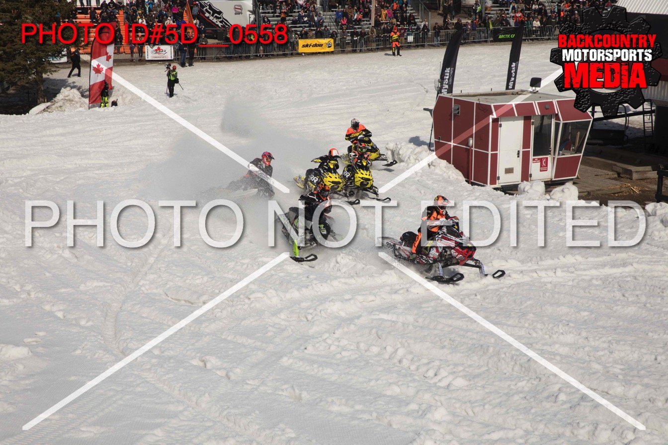 5D__0558.jpg
