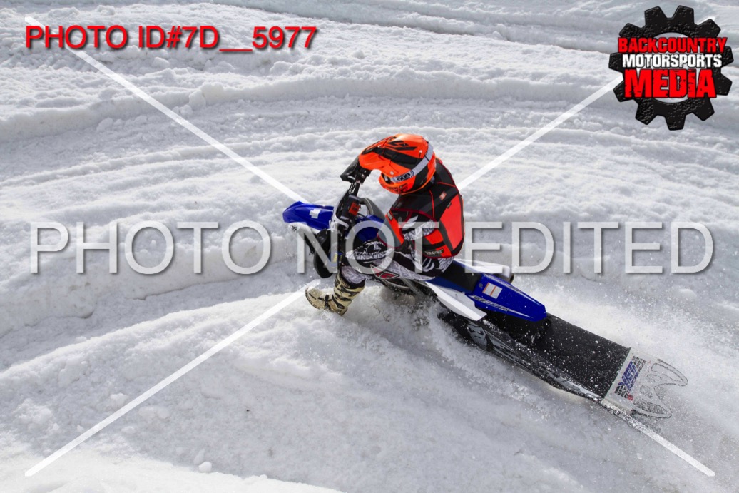 7D__5977.jpg