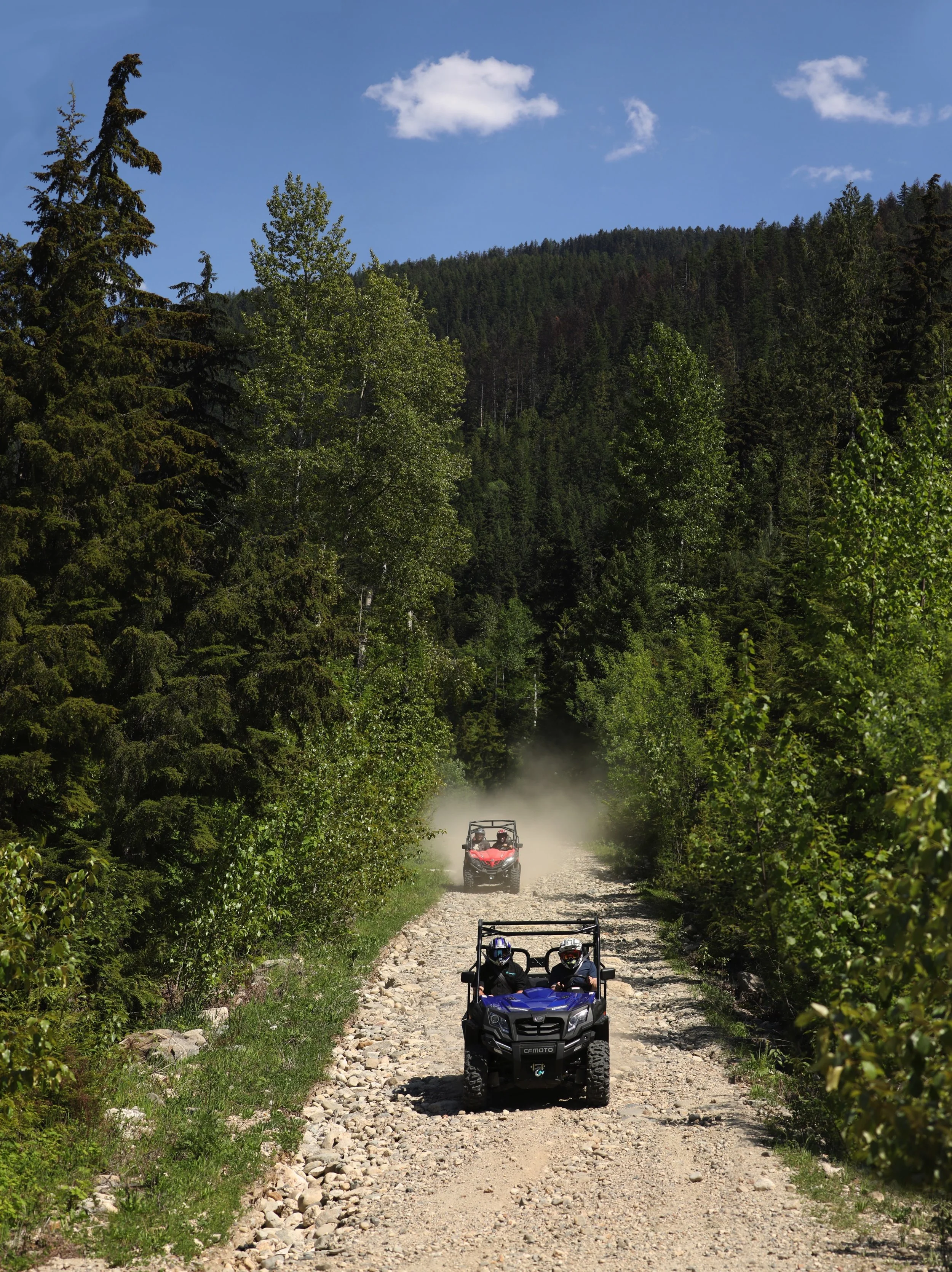 cfmototreetopmountainview.jpg