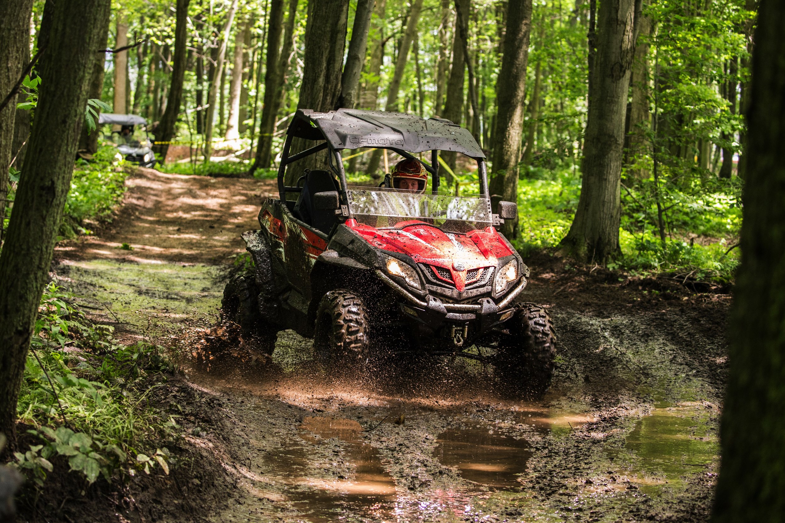 1D__6749.jpg