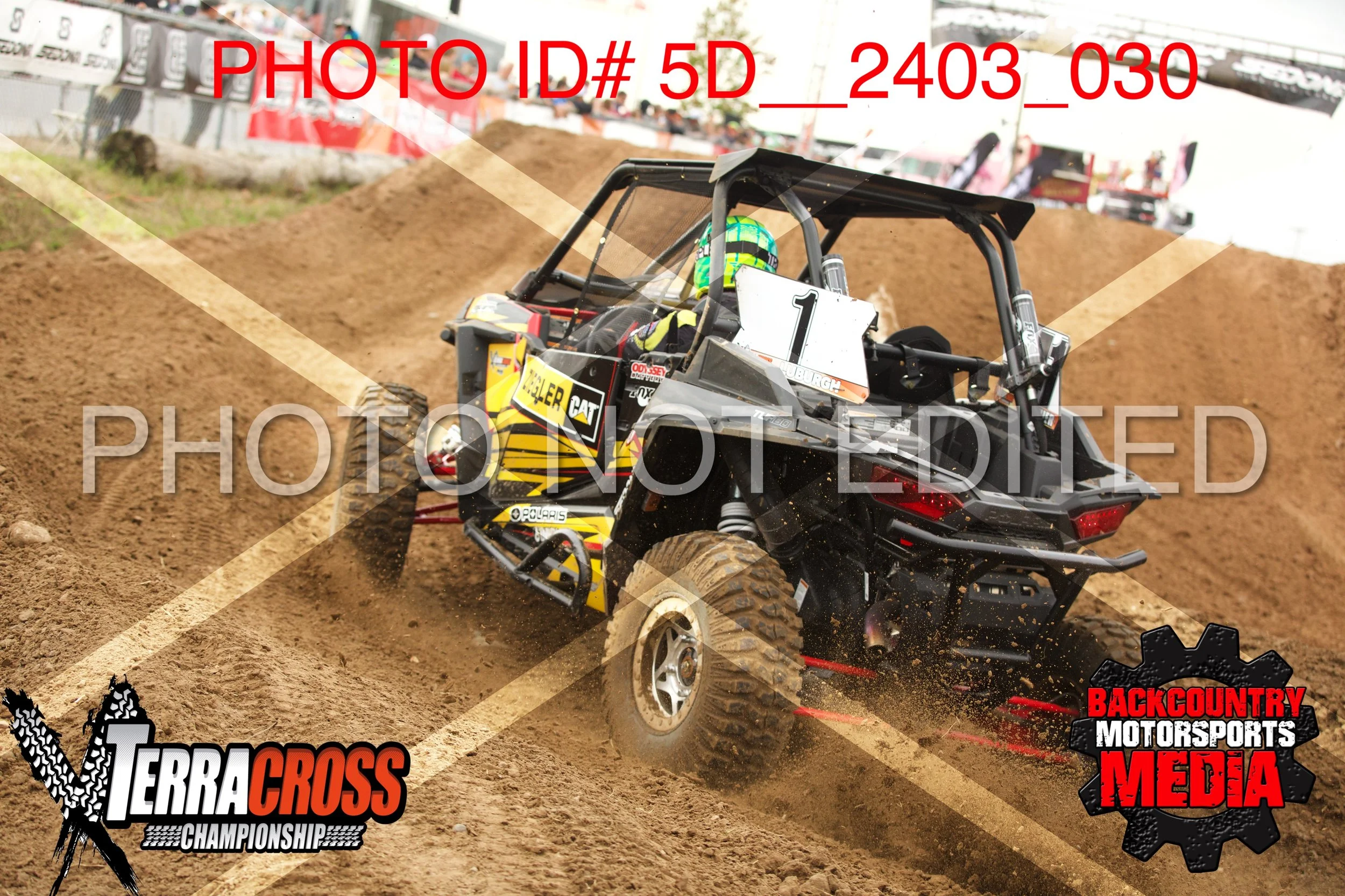 5D__2403.jpg