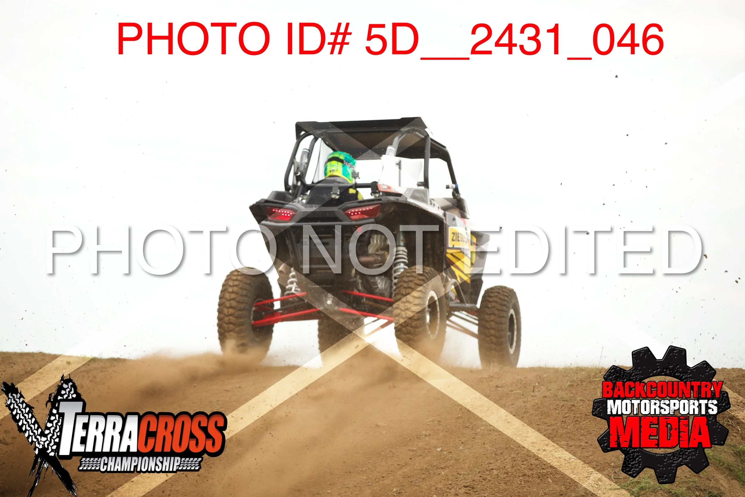 5D__2431.jpg