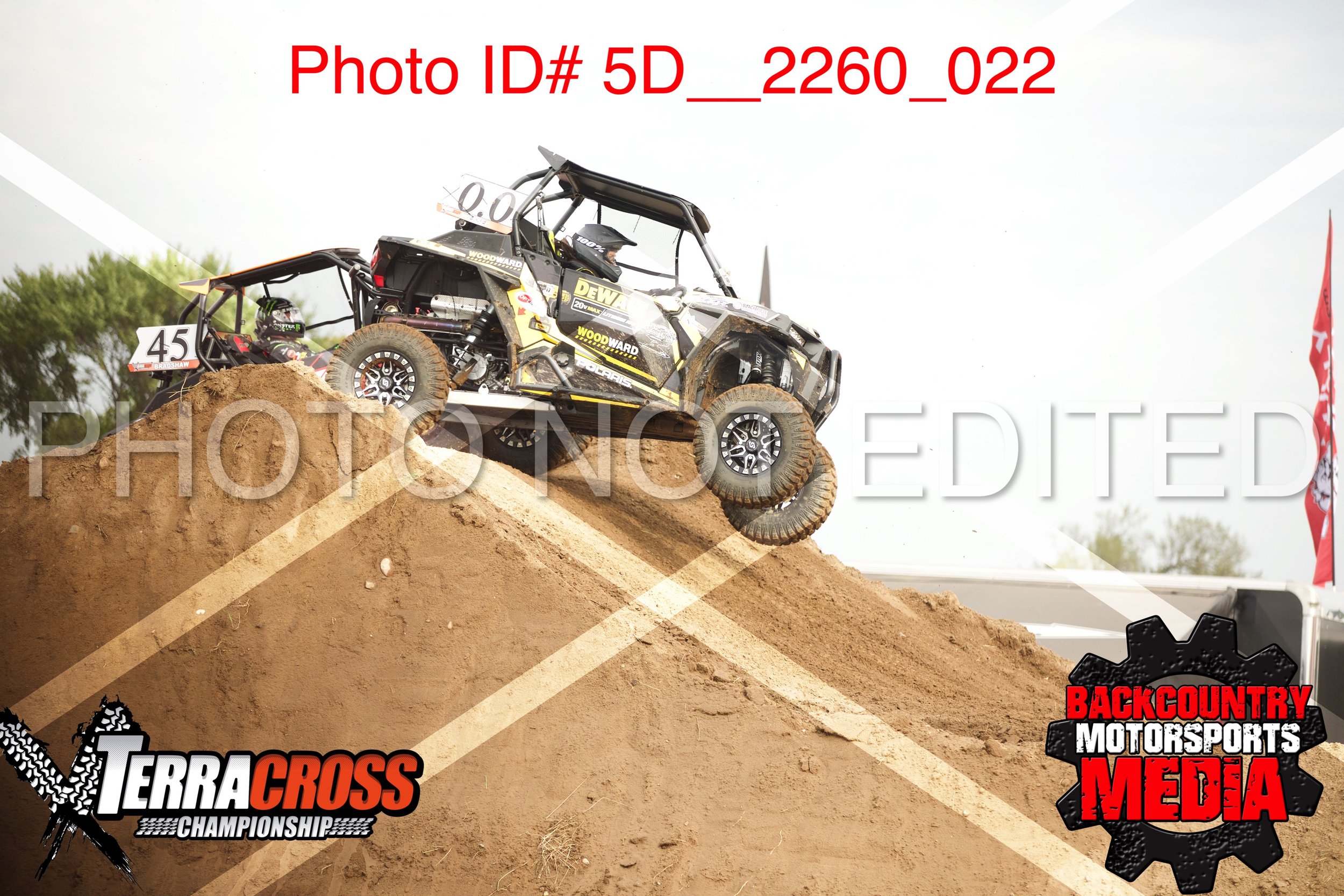 5D__2260.jpg