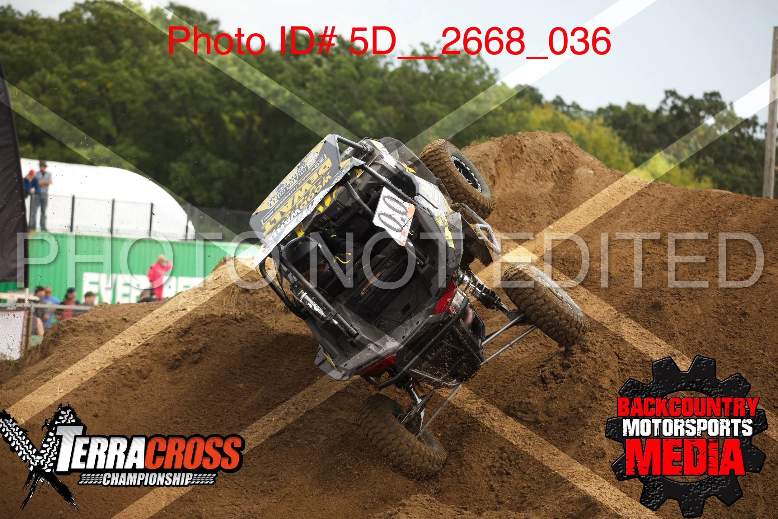 5D__2668.jpg