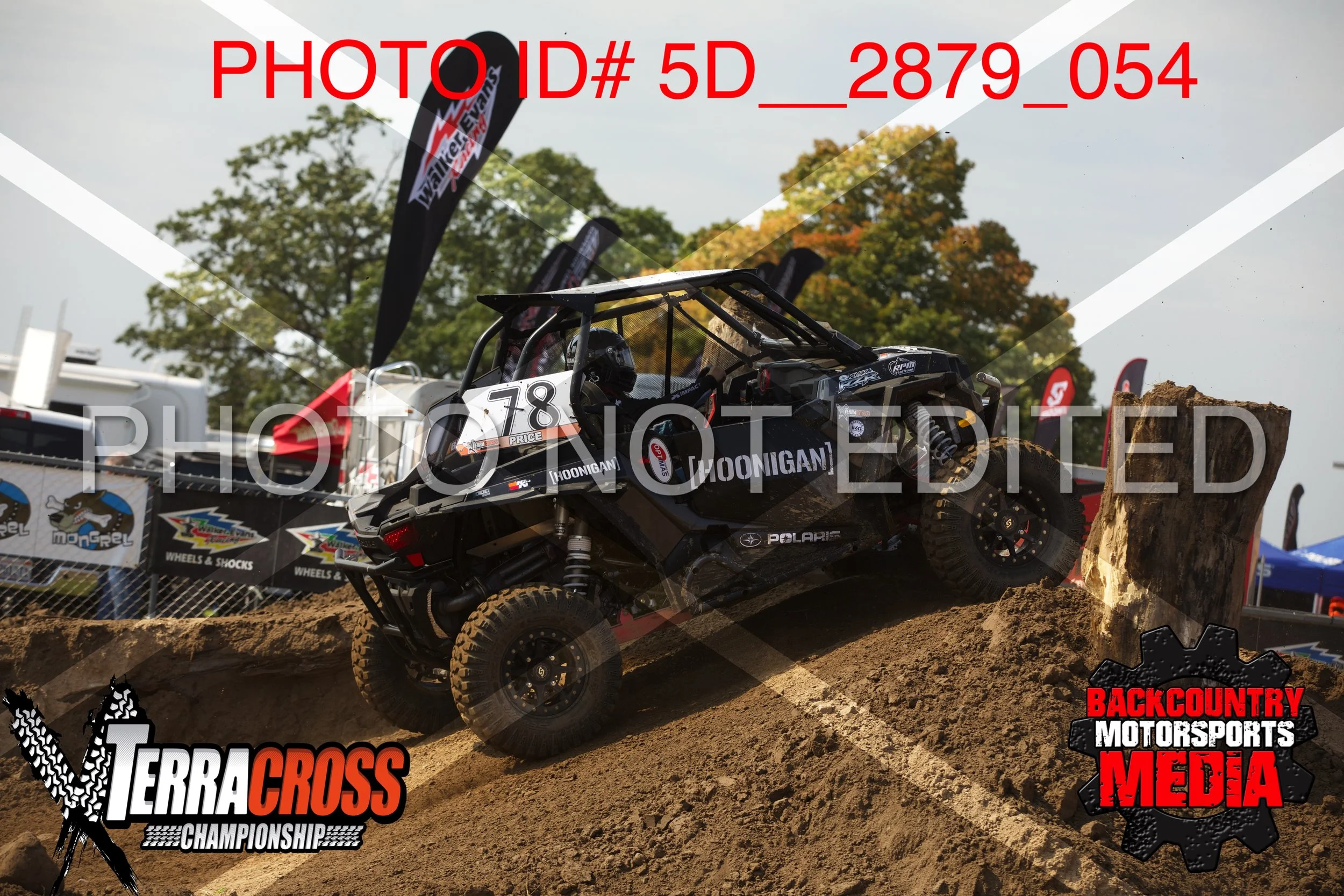 5D__2879.jpg