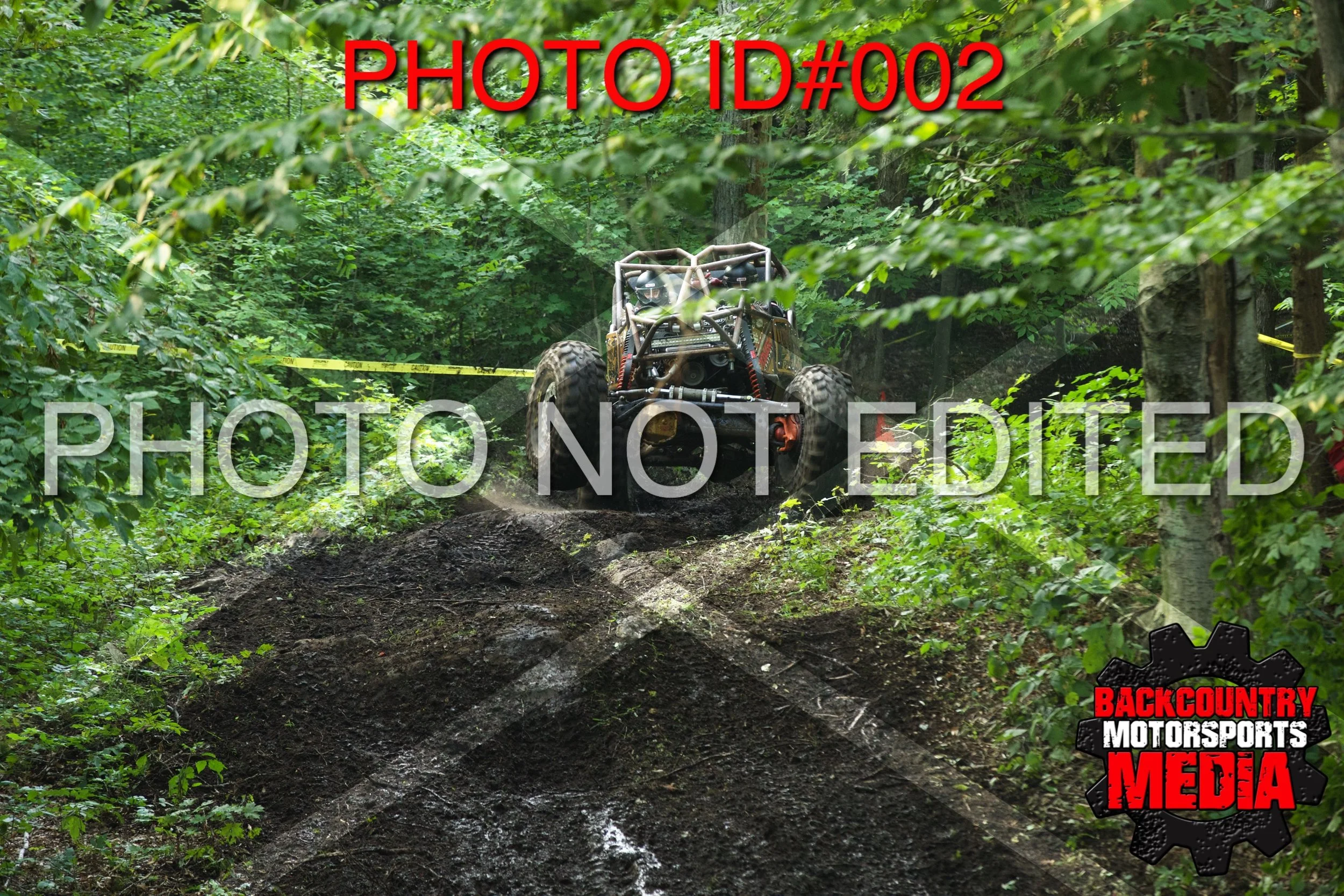 1D__0295.jpg
