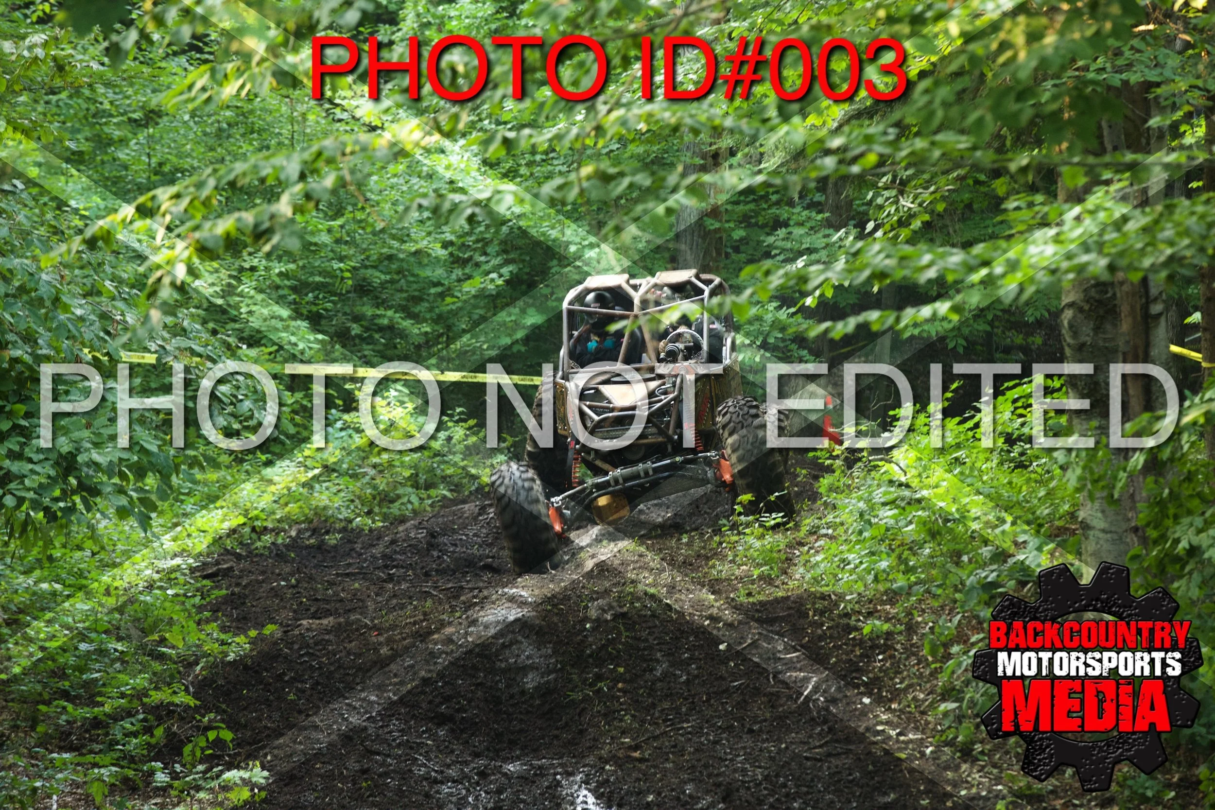 1D__0296.jpg