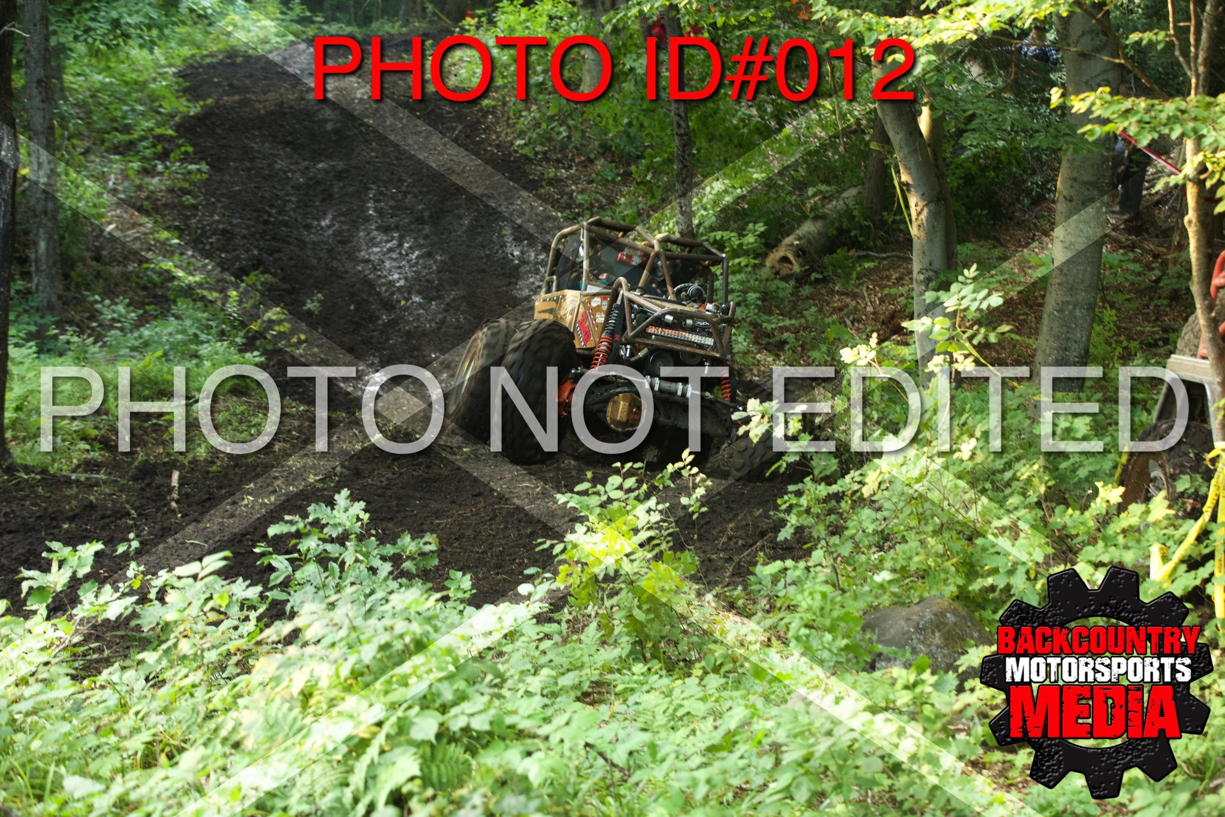 1D__0305.jpg