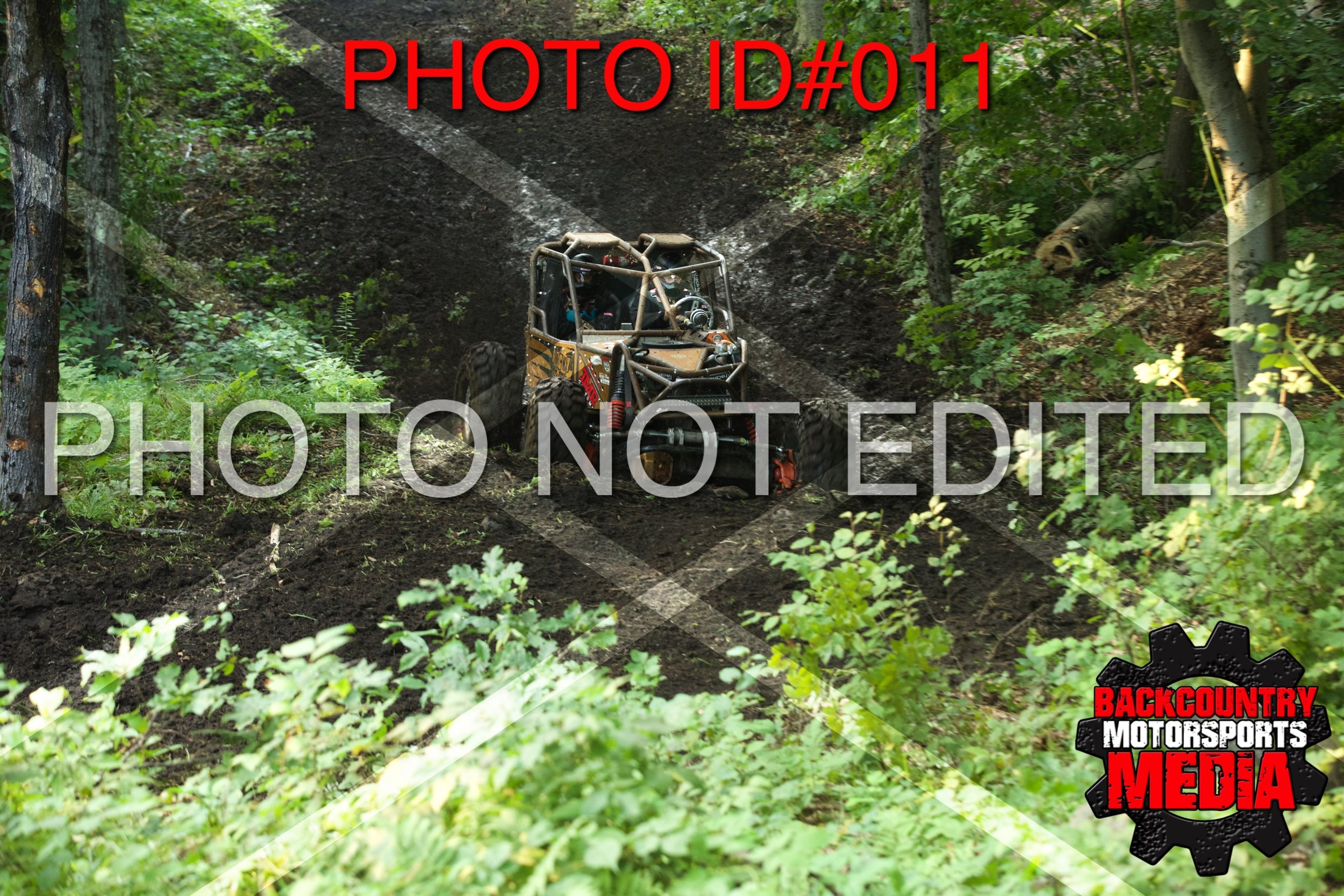 1D__0304.jpg