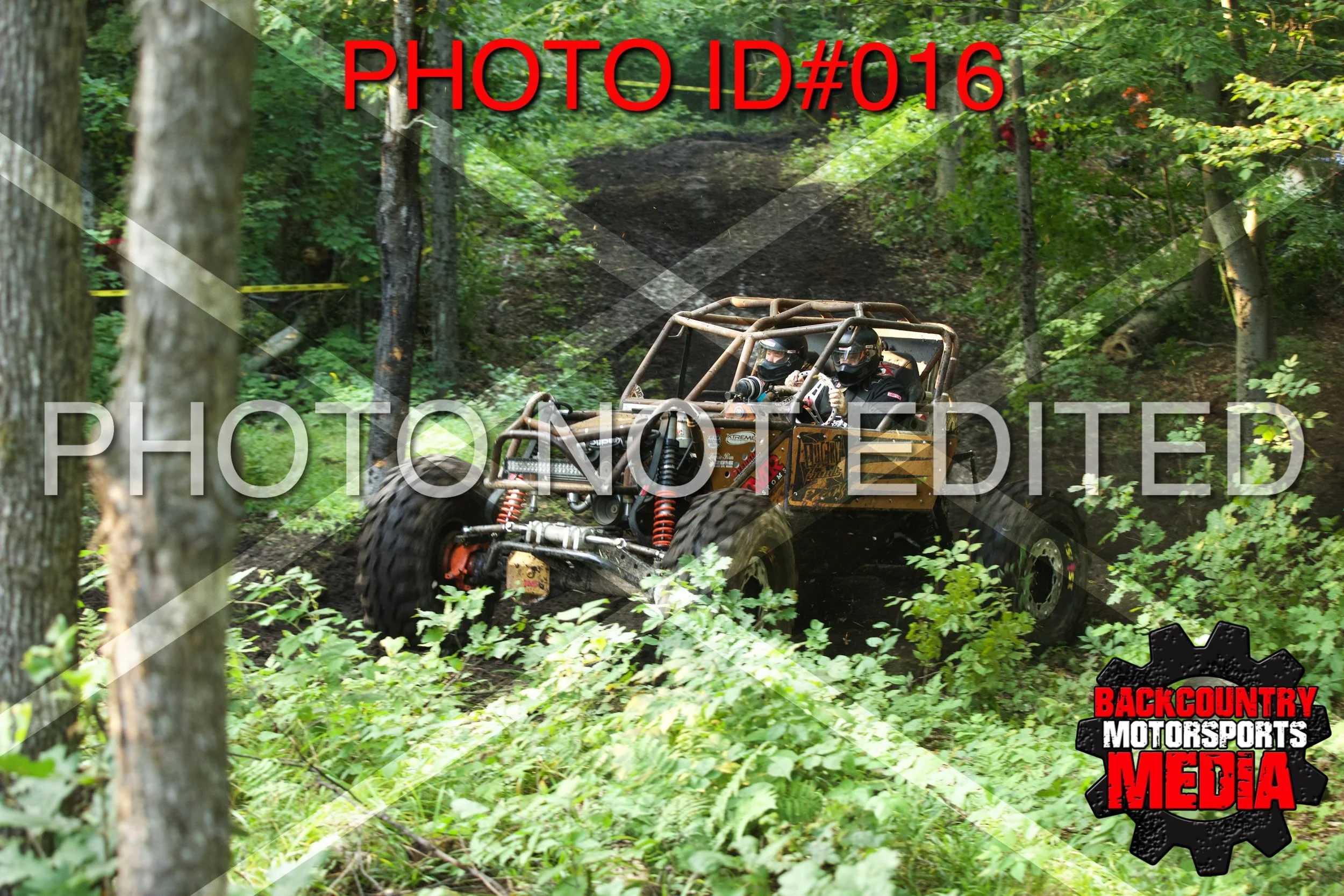 1D__0309.jpg